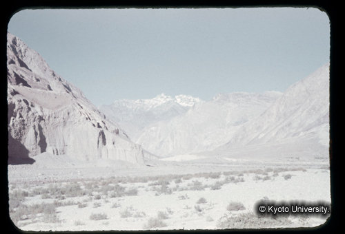 カラースライドF21_04 (1)