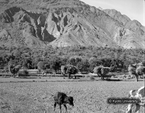 ヒンズークシ地域撮影フィルム : F-45-3 (1)