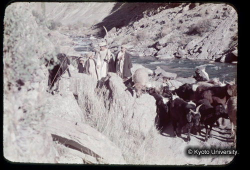 カラースライドF17_02 (1)