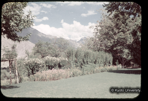 カラースライドF03_01 (1)