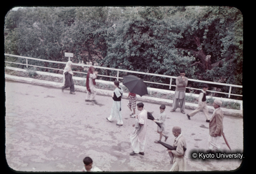 カラースライドF02_03 (1)