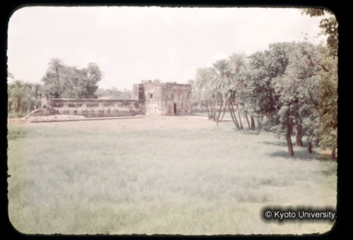 カラースライドF01_11 (1)