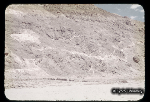 カラースライドF03_12 (1)