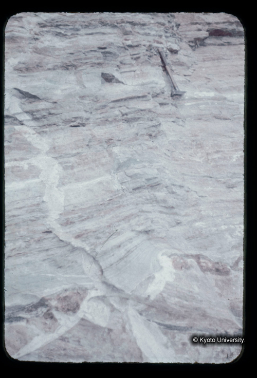 カラースライドF18_06 (1)