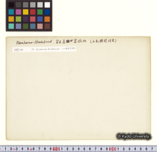 Mf100 24. Karakoram-Hindukusch 岩石造岩鉱物（小島検鏡結果）[*資料不明] (1)