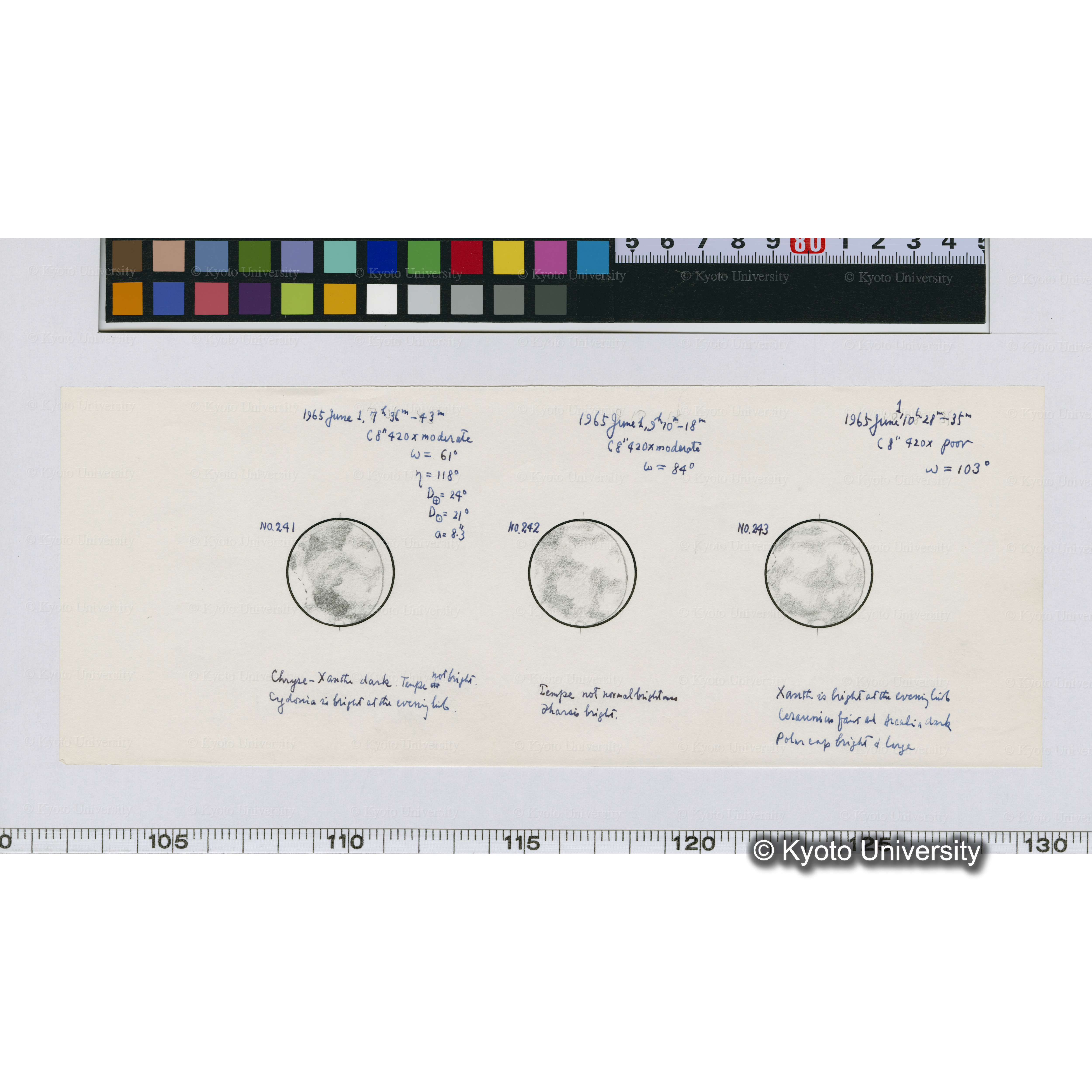 No.241, No.242, No.243 (1)