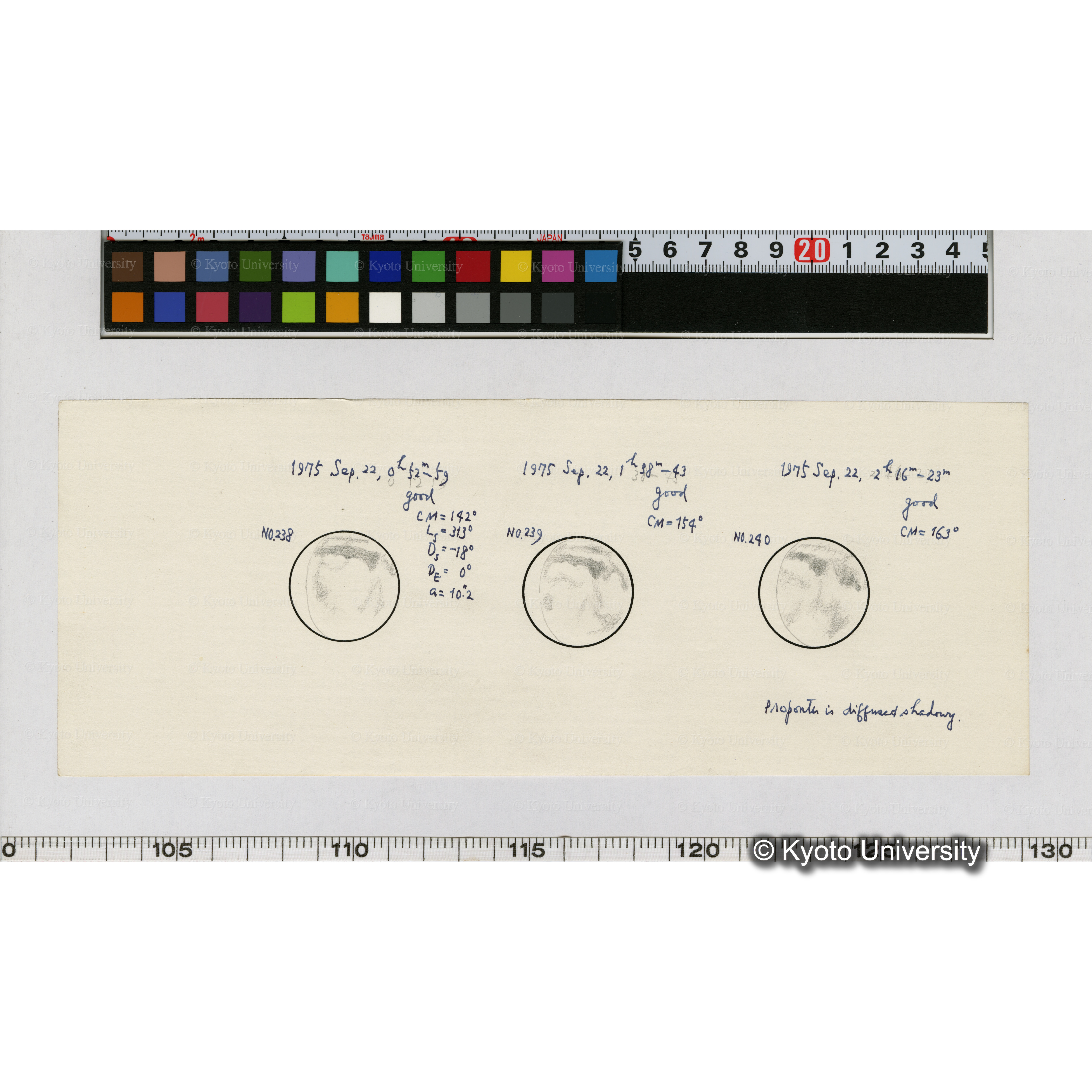 No.238, No.239, No.240 (1)