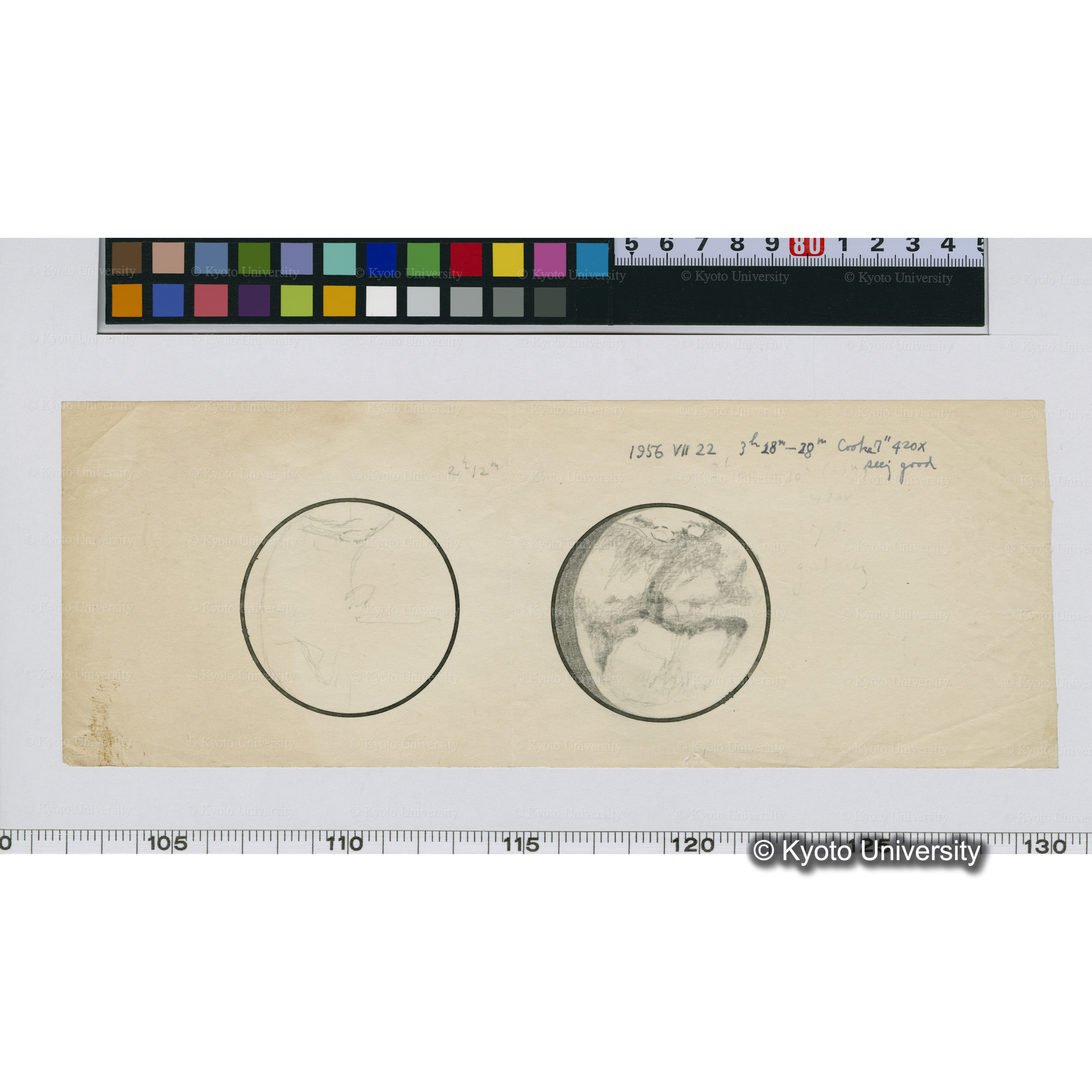 [無番スケッチ](「1956VII22」) (1)