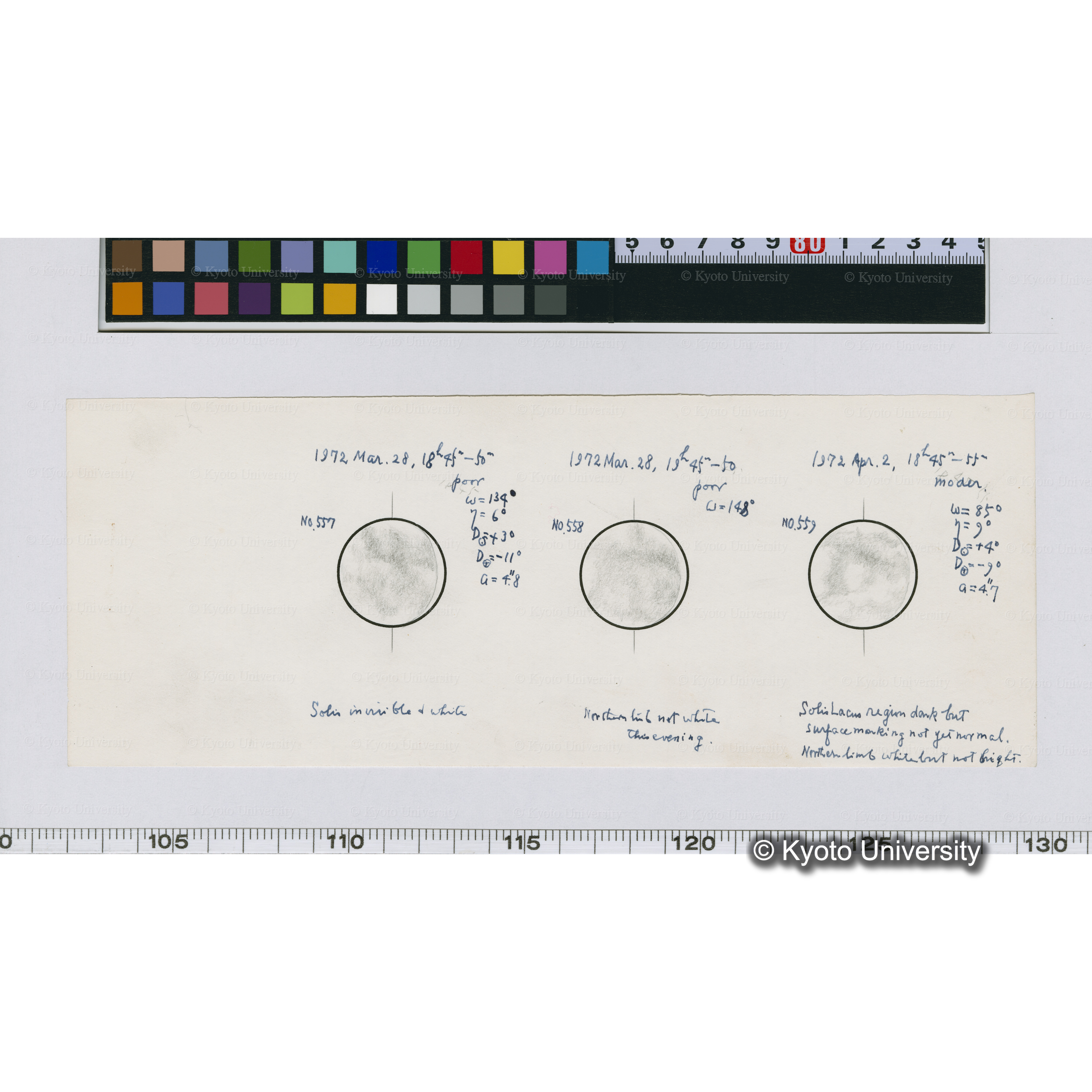 No.557, No.558, No.559 (1)