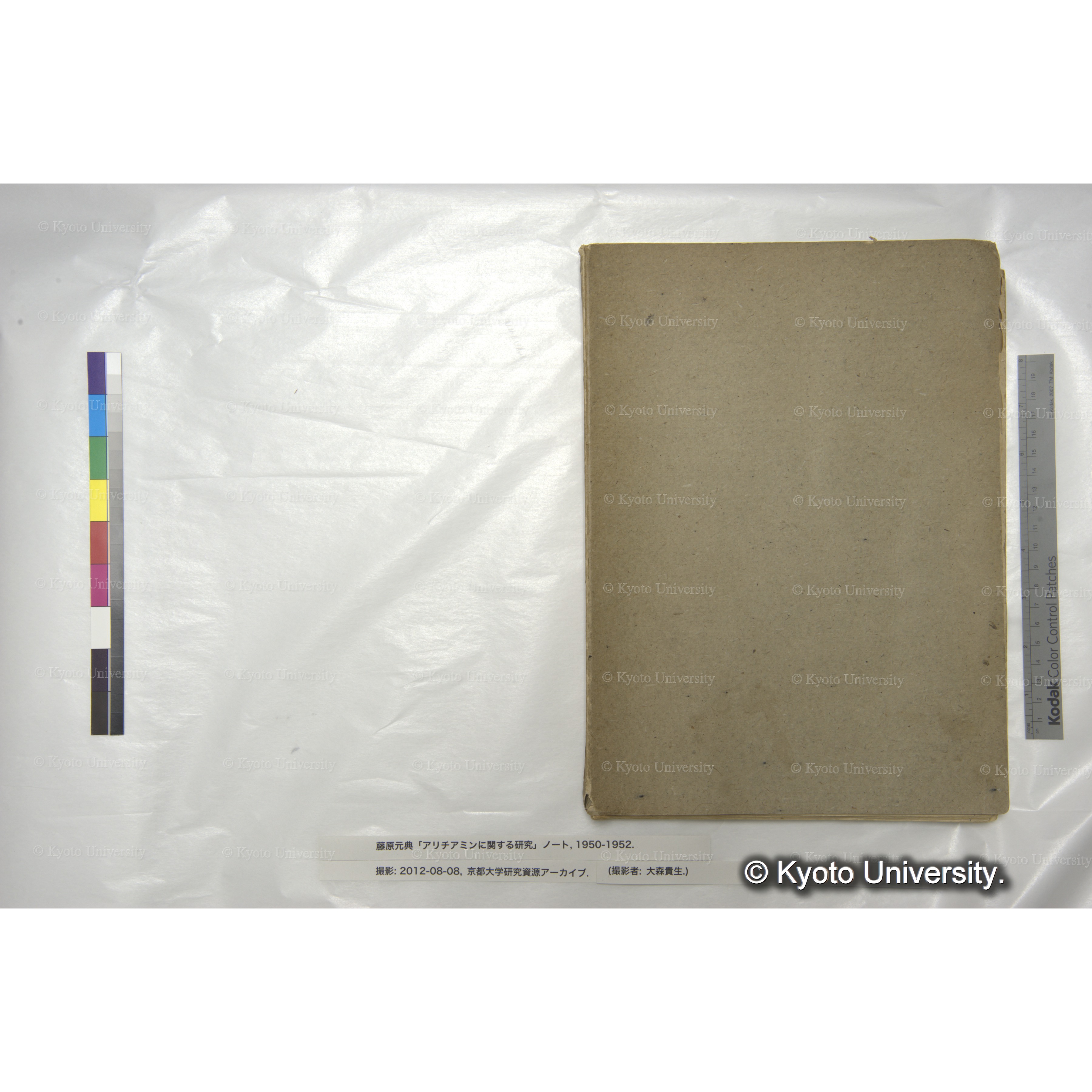 アリチアミンに関する研究 1950〜52 (2)