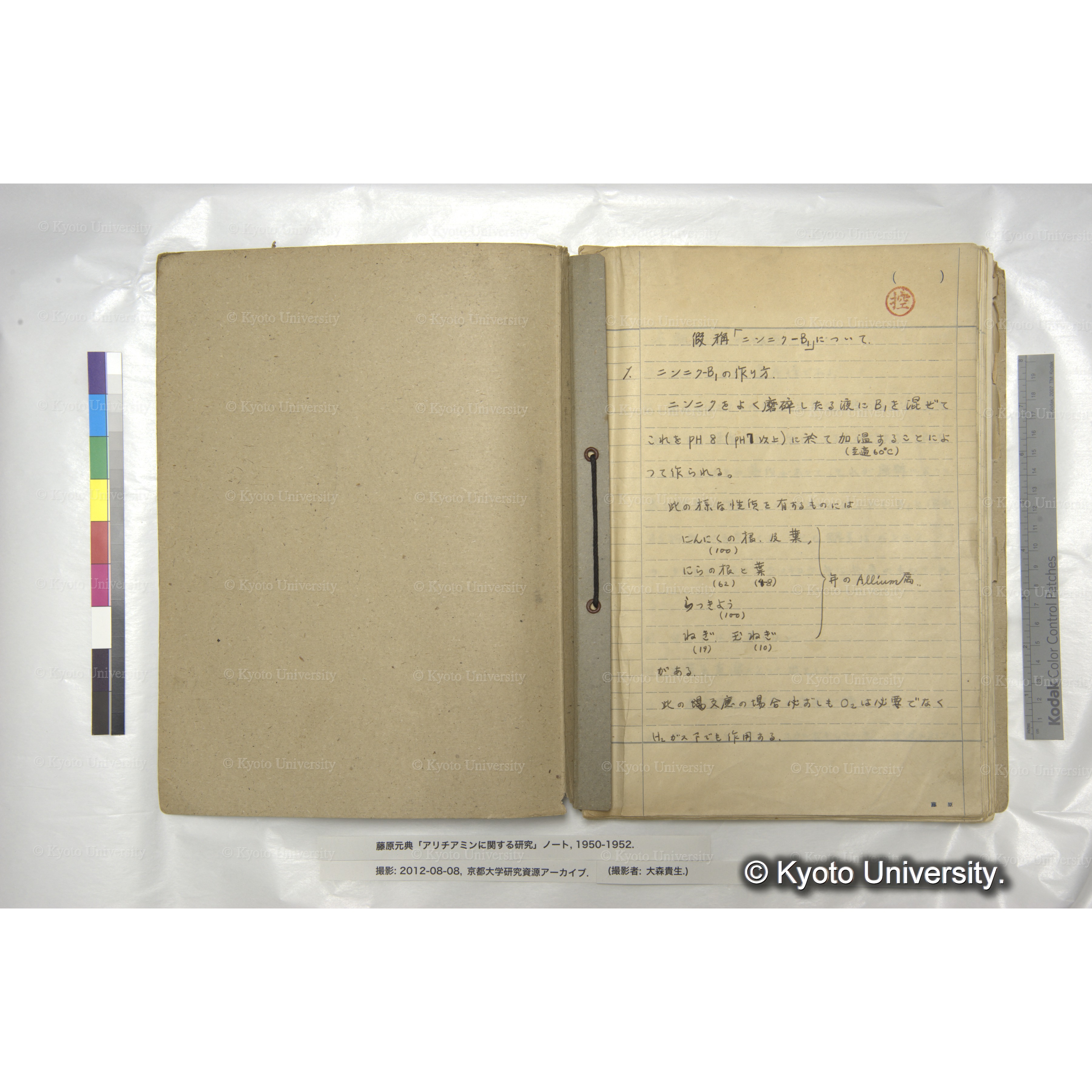 アリチアミンに関する研究 1950〜52 (3)