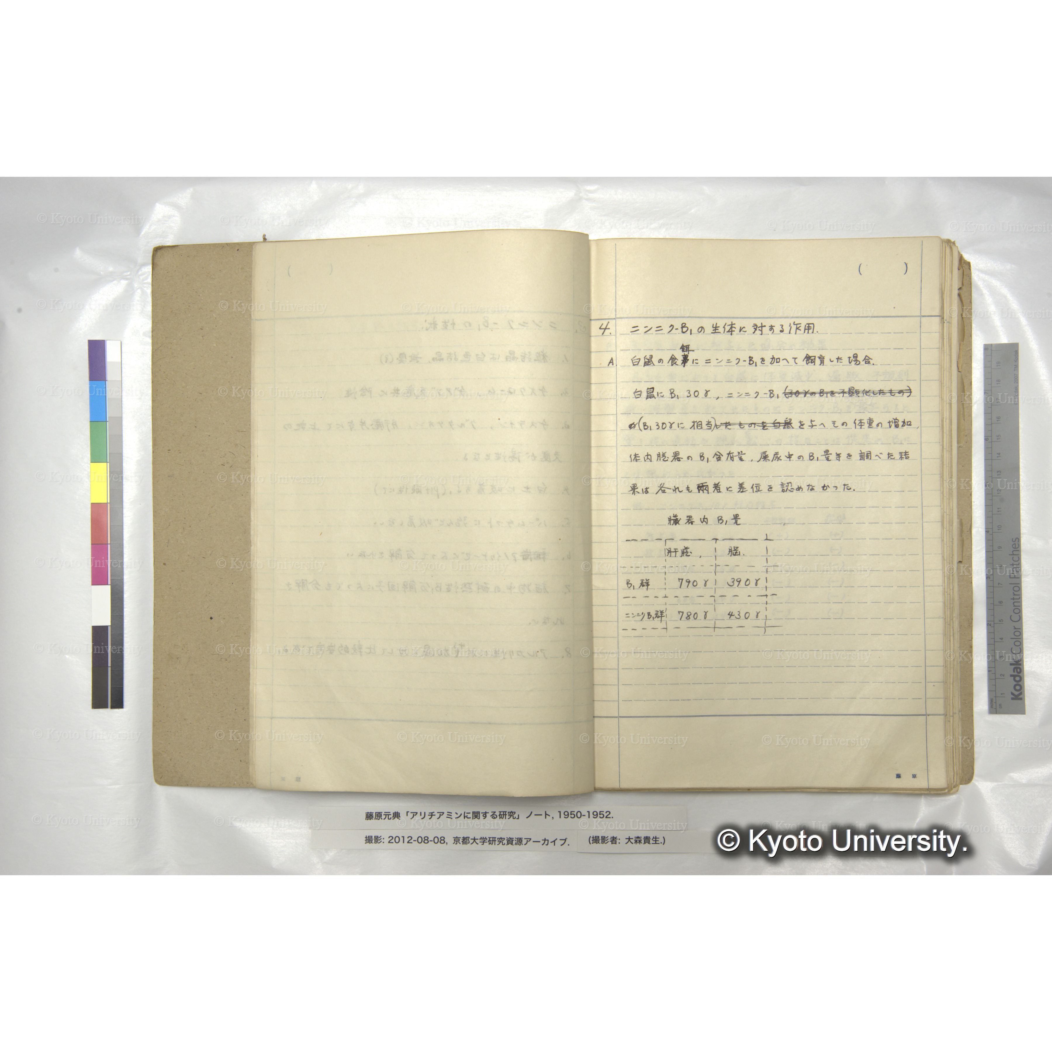 アリチアミンに関する研究 1950〜52 (7)