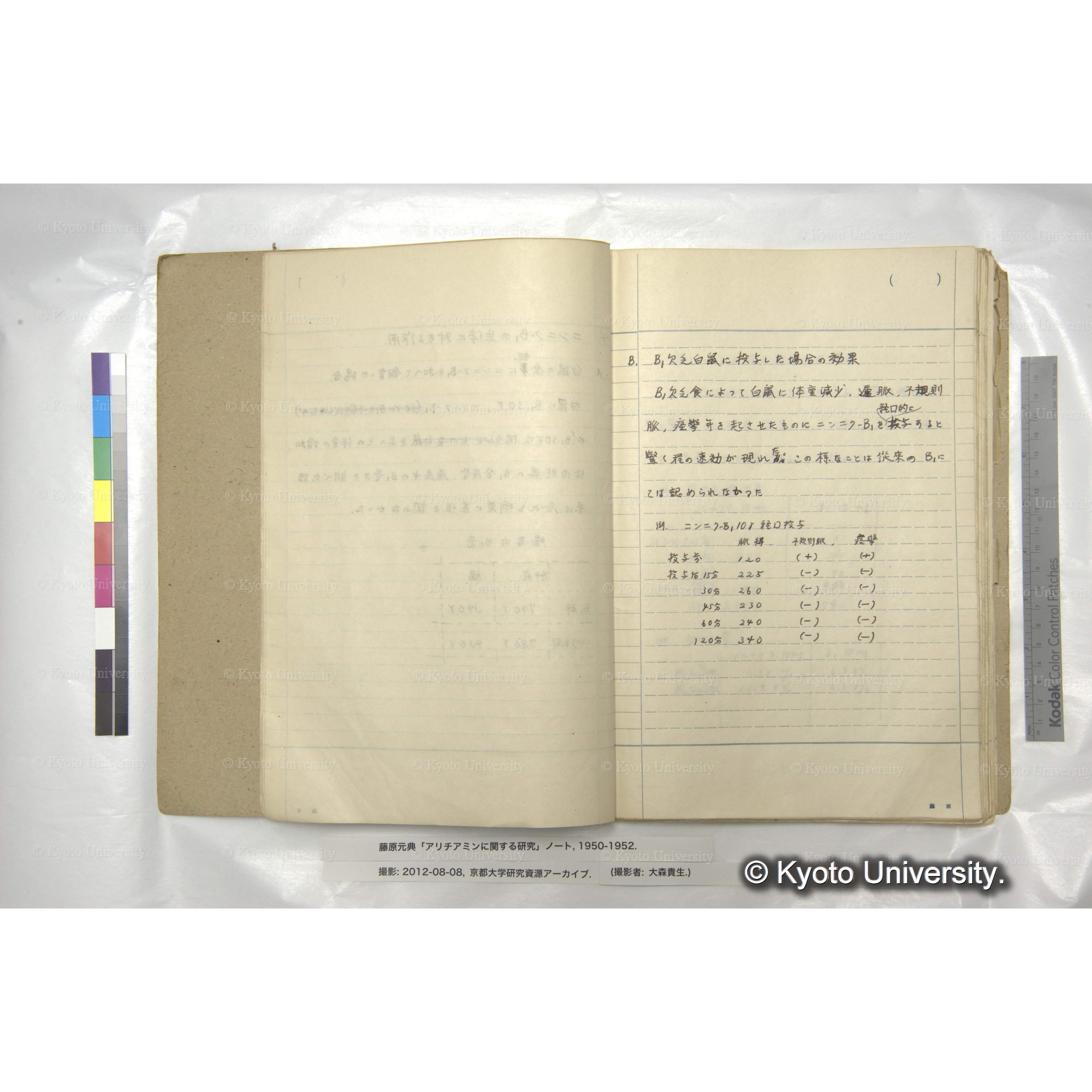 アリチアミンに関する研究 1950〜52 (8)