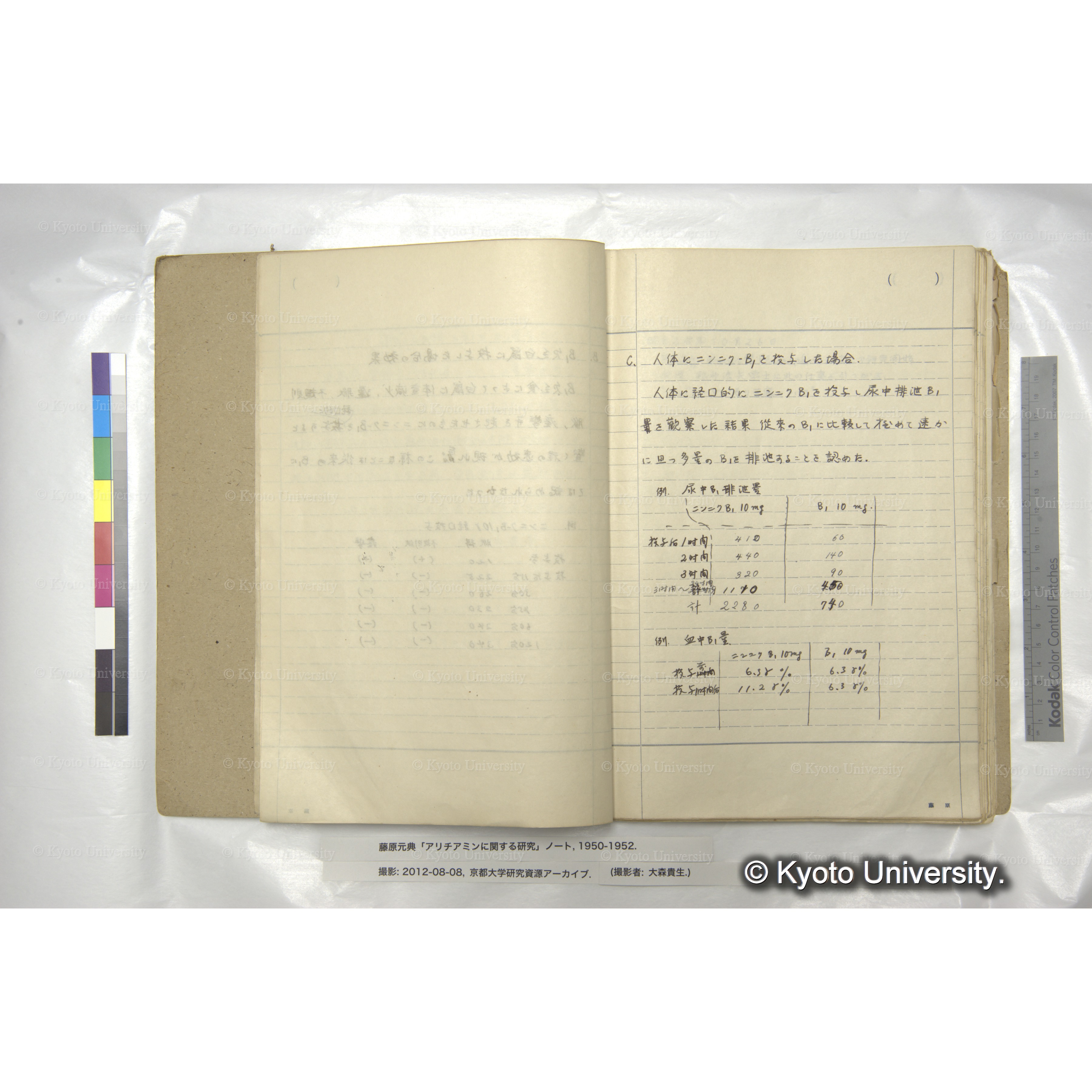 アリチアミンに関する研究 1950〜52 (9)