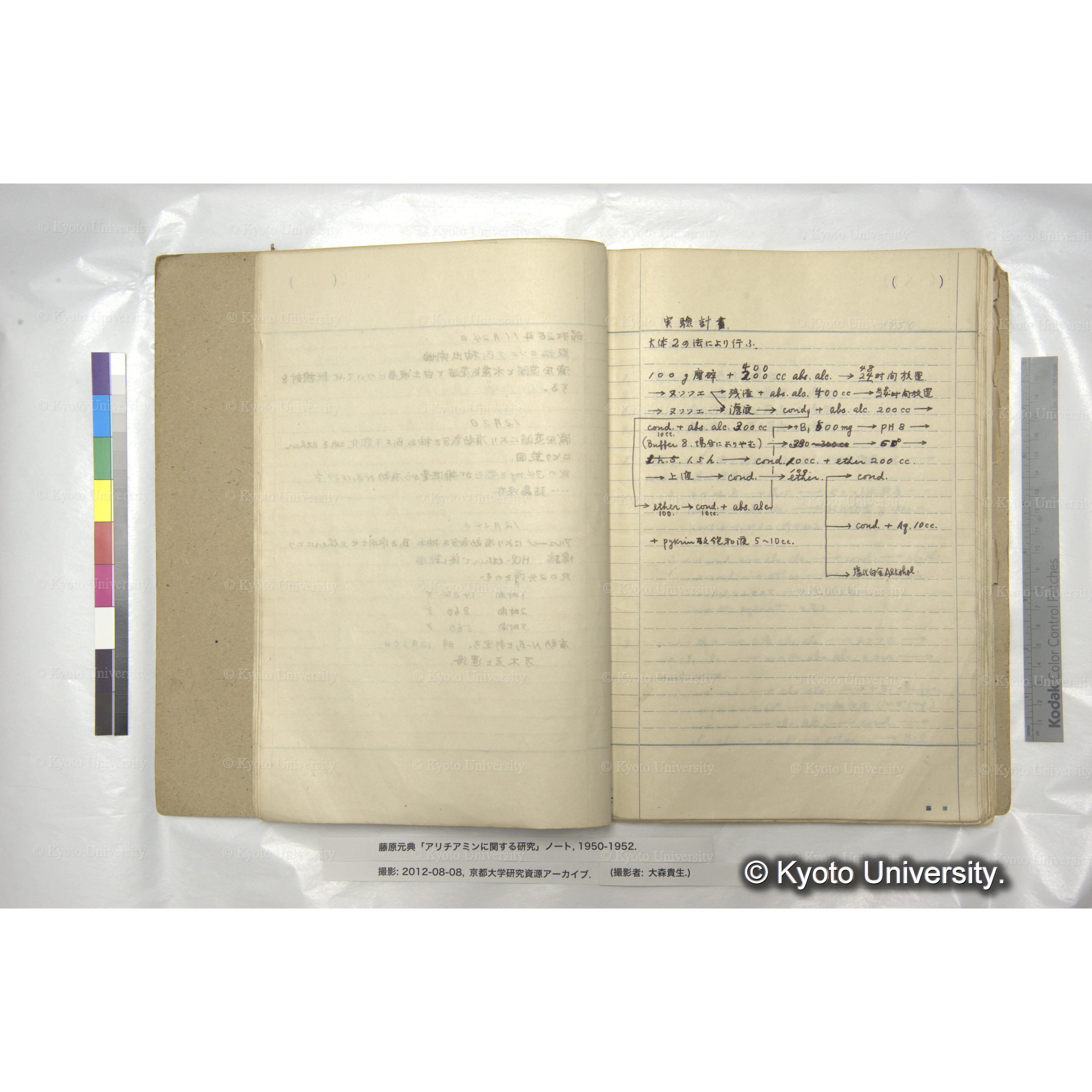 アリチアミンに関する研究 1950〜52 (12)