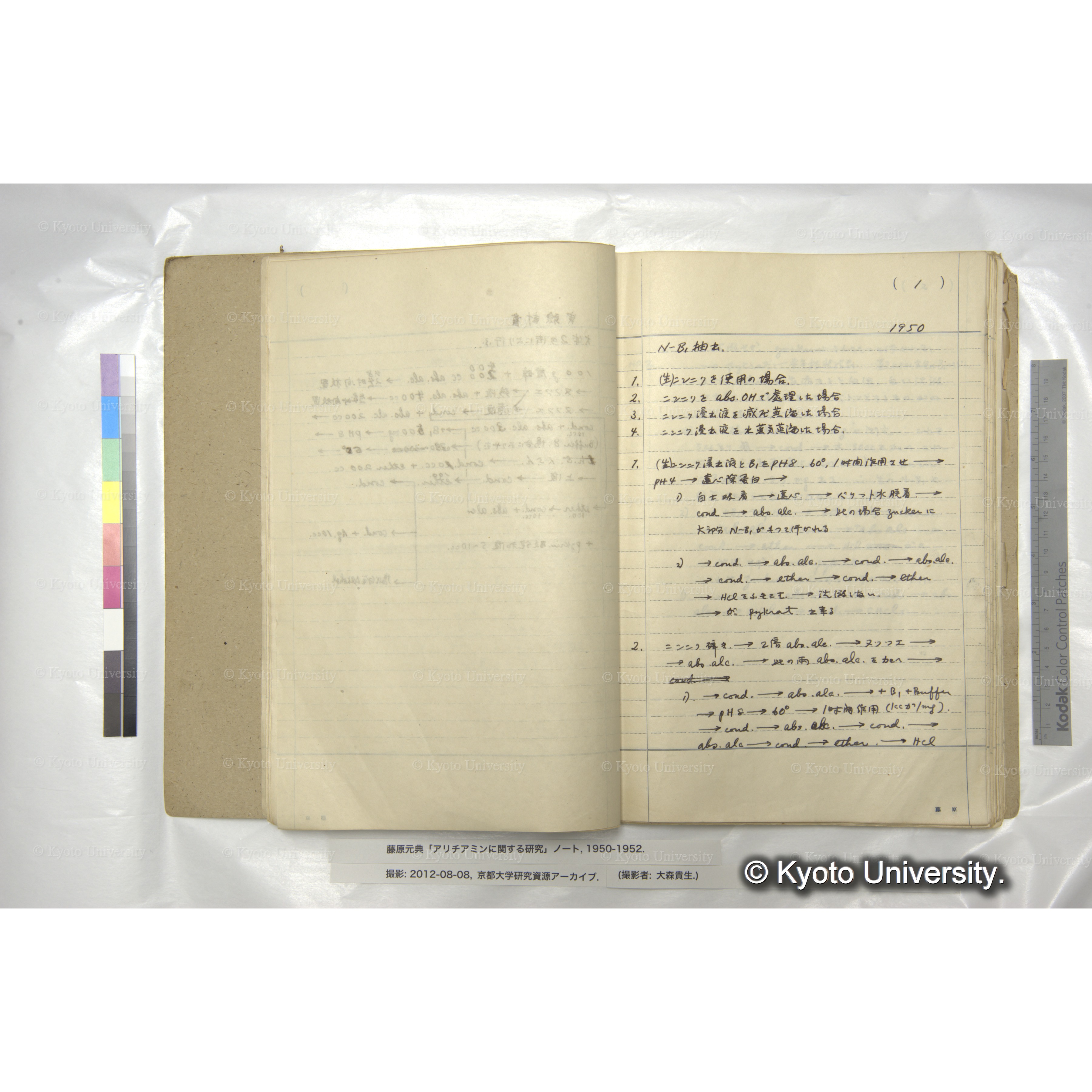 アリチアミンに関する研究 1950〜52 (13)