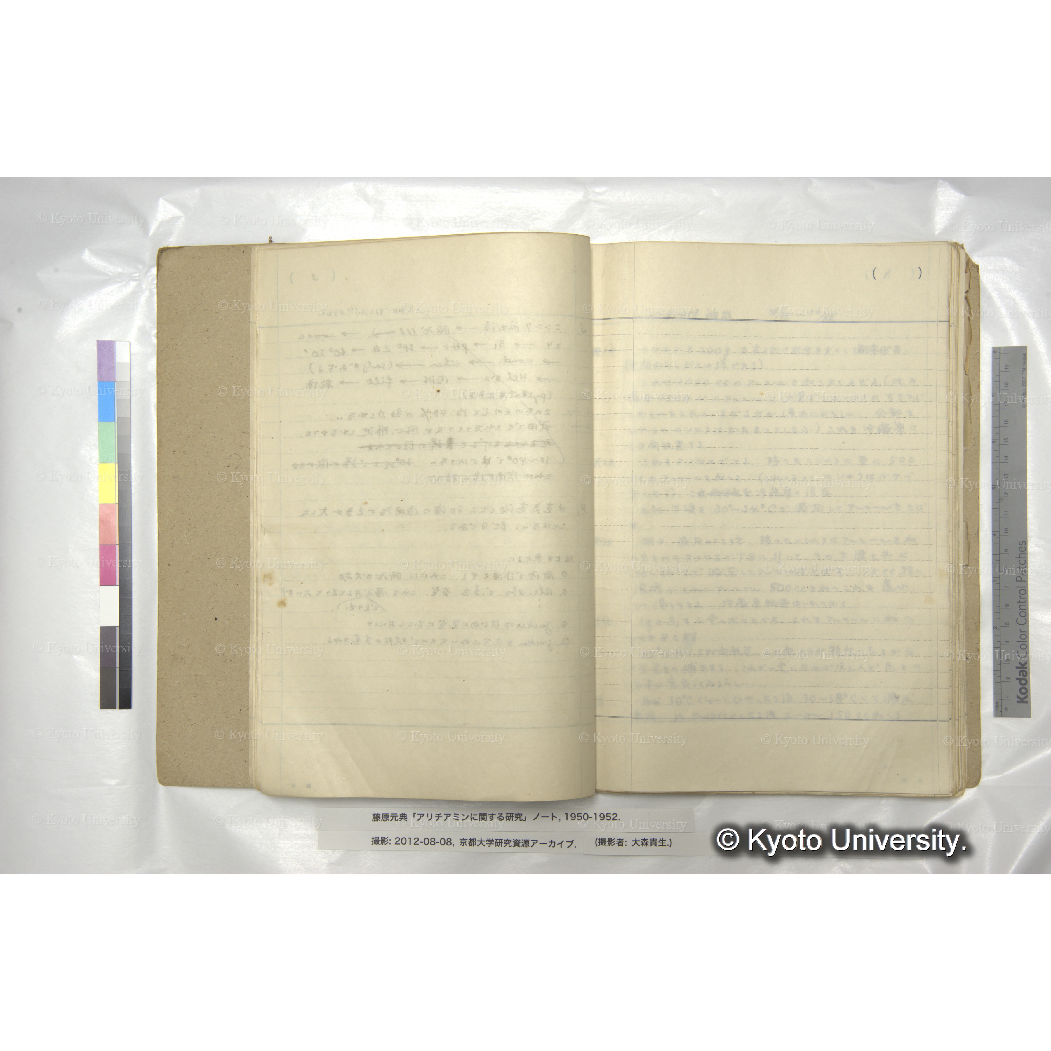 アリチアミンに関する研究 1950〜52 (16)