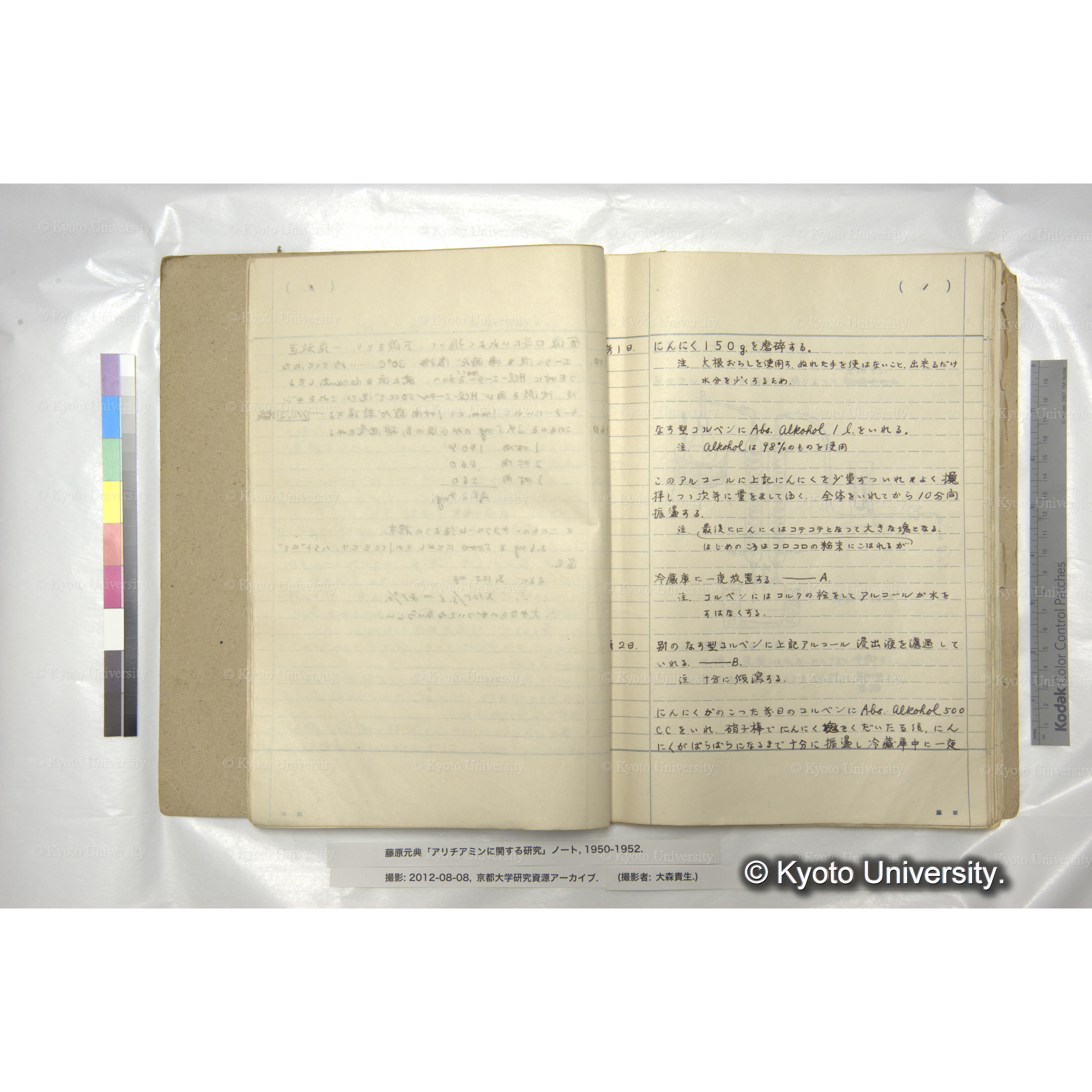 アリチアミンに関する研究 1950〜52 (19)