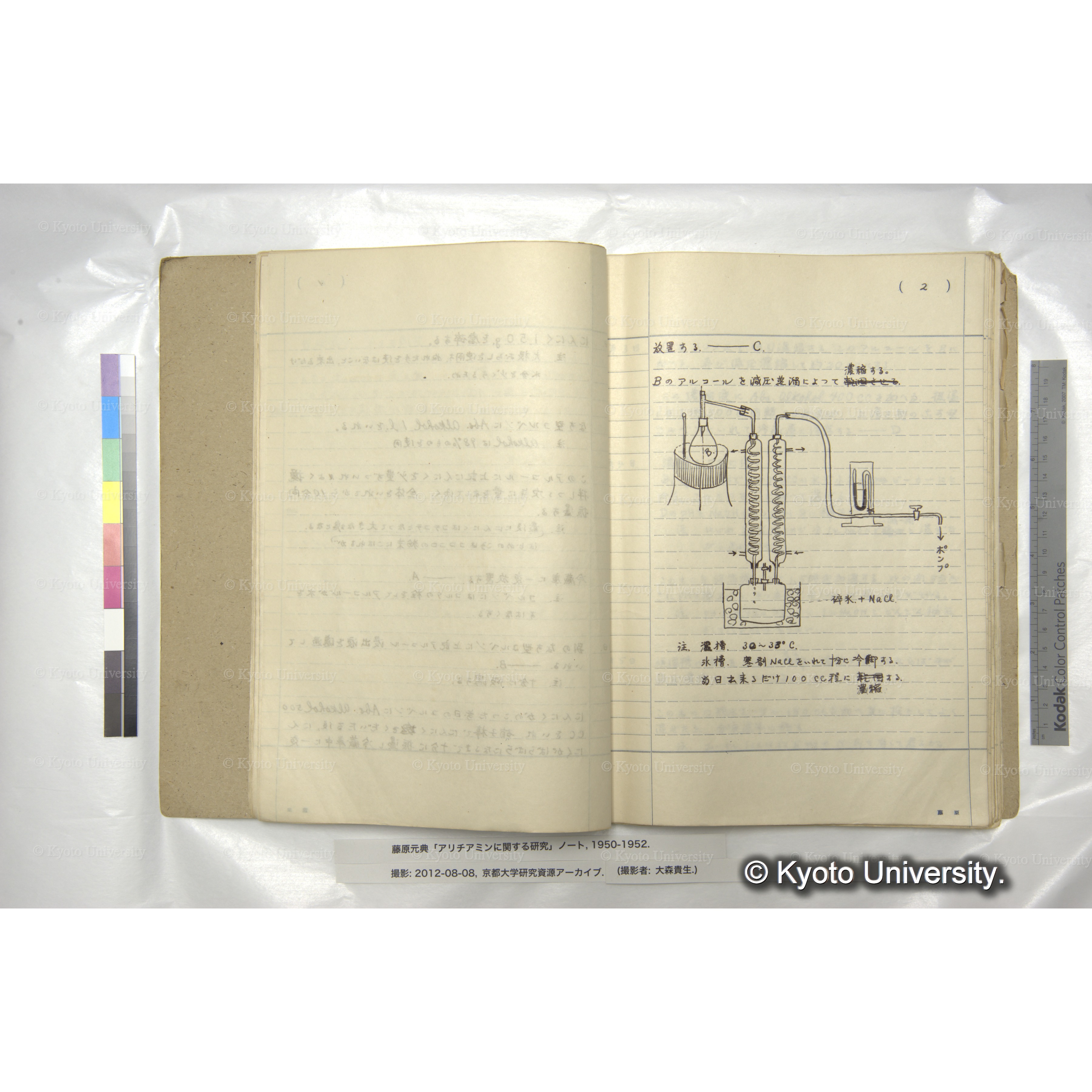 アリチアミンに関する研究 1950〜52 (20)