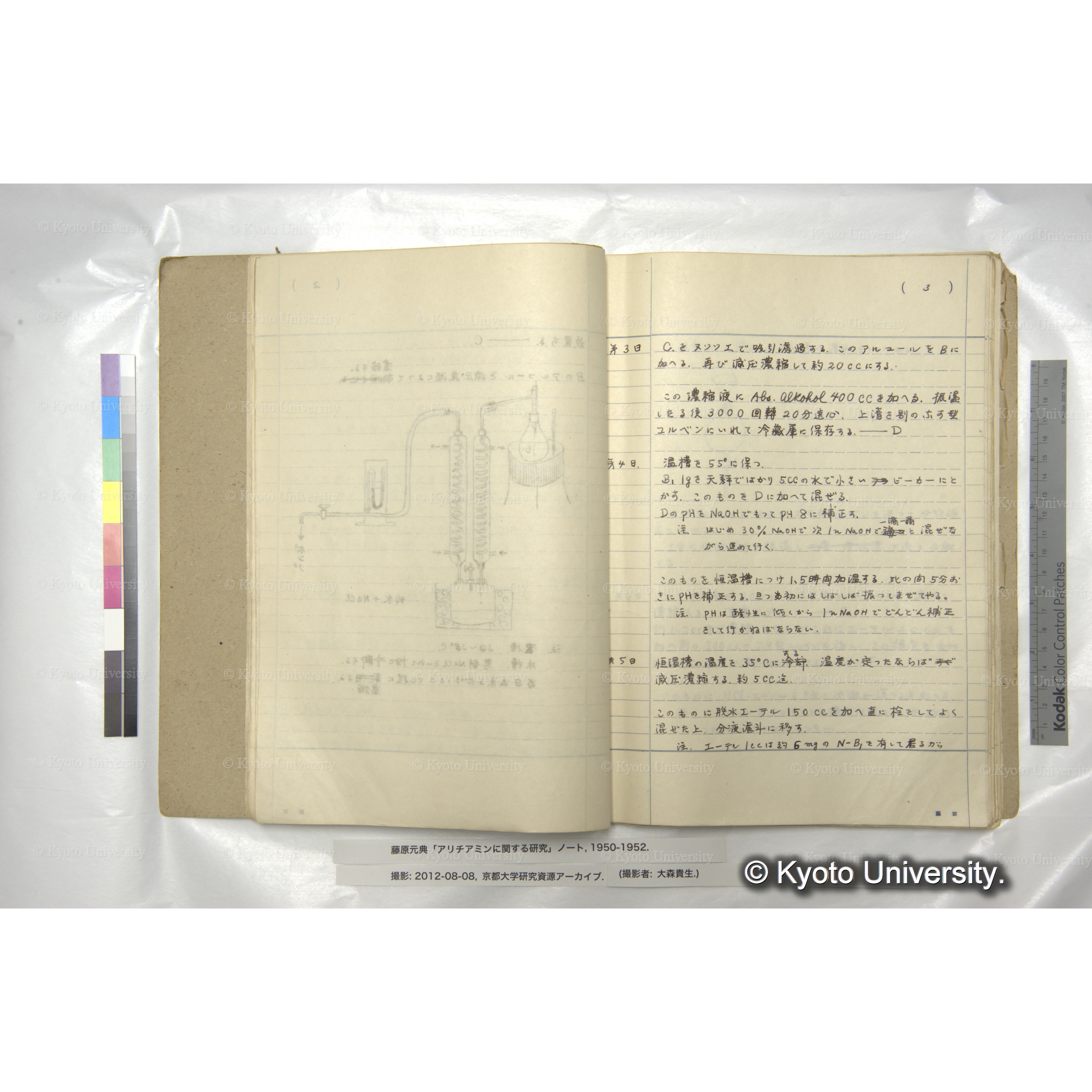アリチアミンに関する研究 1950〜52 (21)