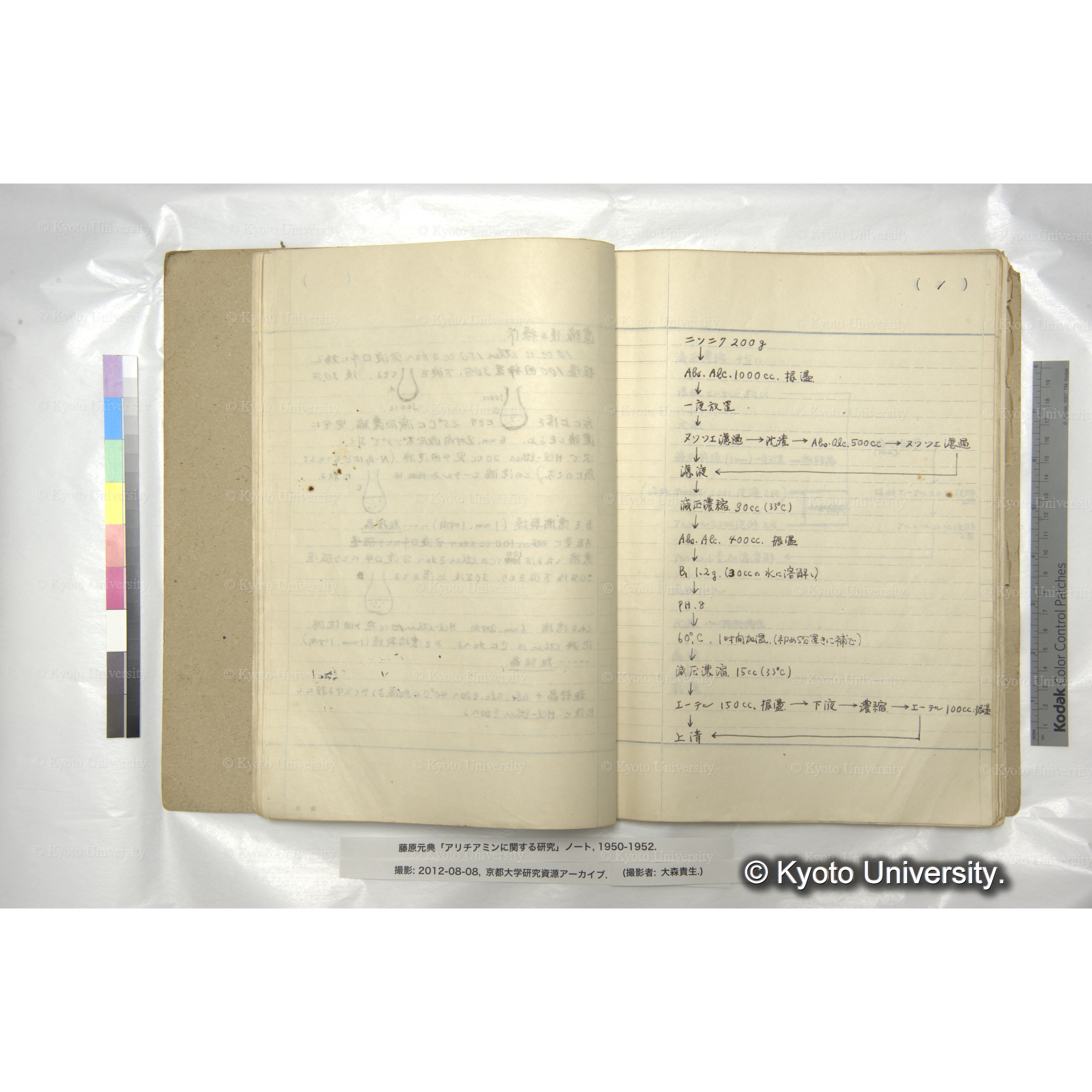 アリチアミンに関する研究 1950〜52 (25)