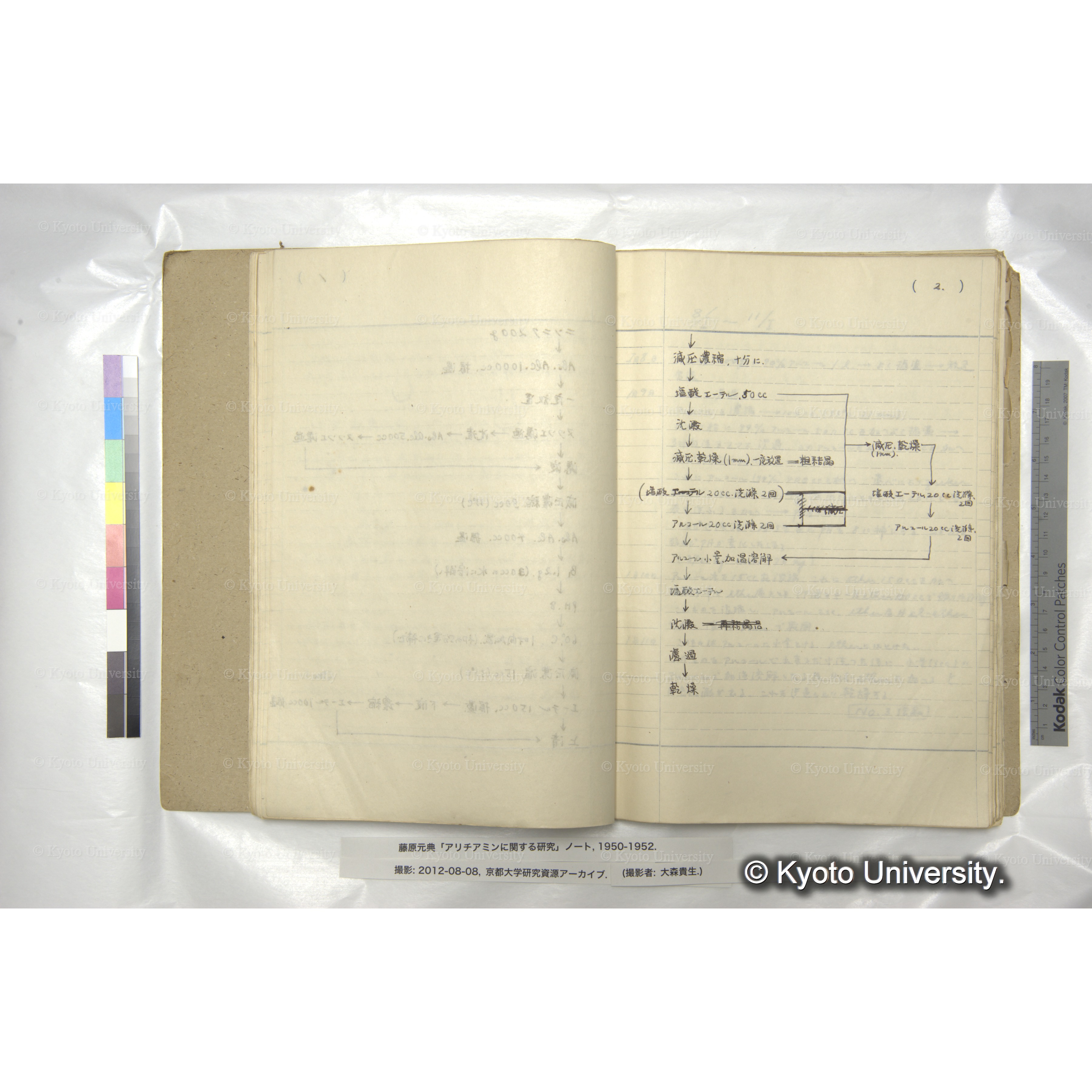 アリチアミンに関する研究 1950〜52 (26)