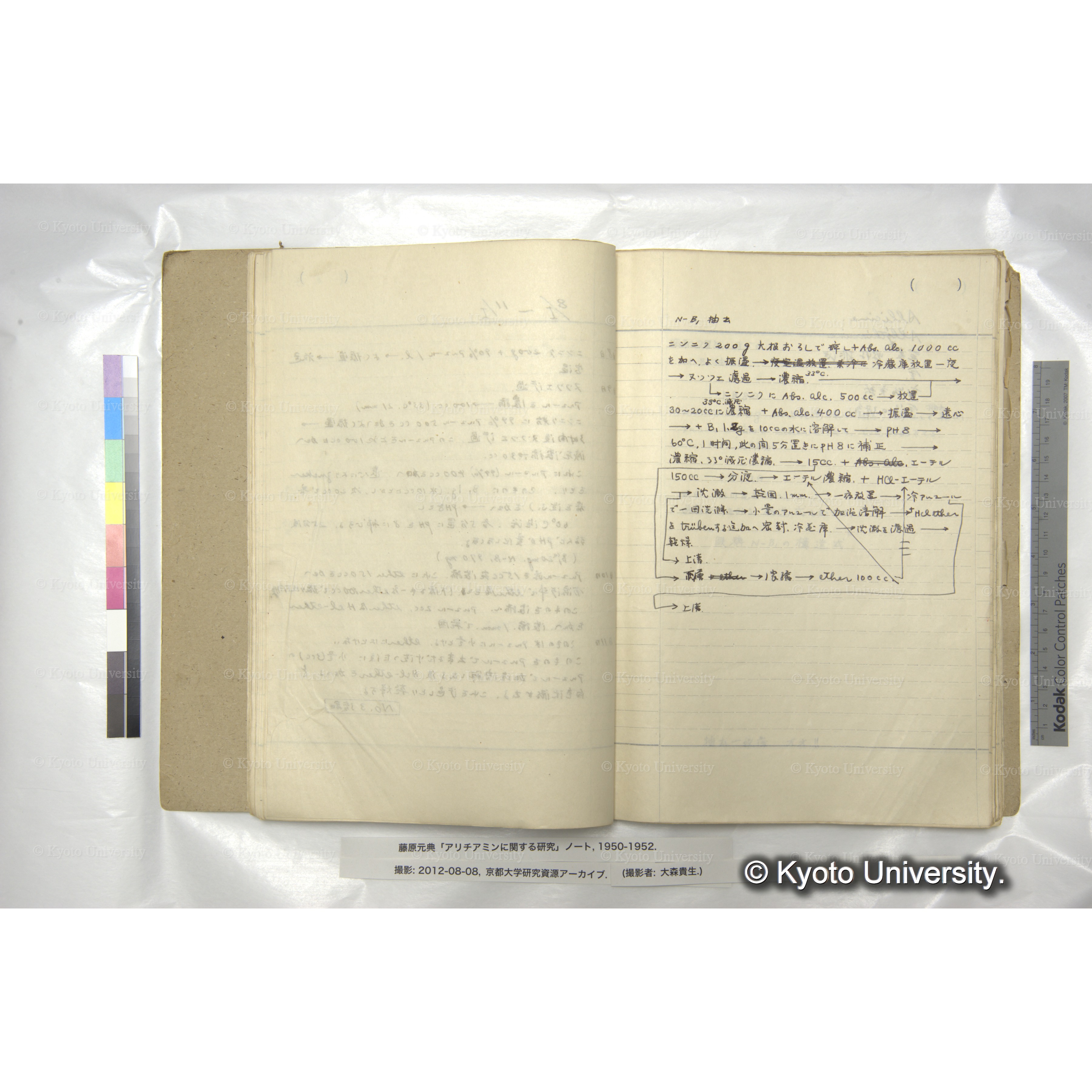 アリチアミンに関する研究 1950〜52 (28)