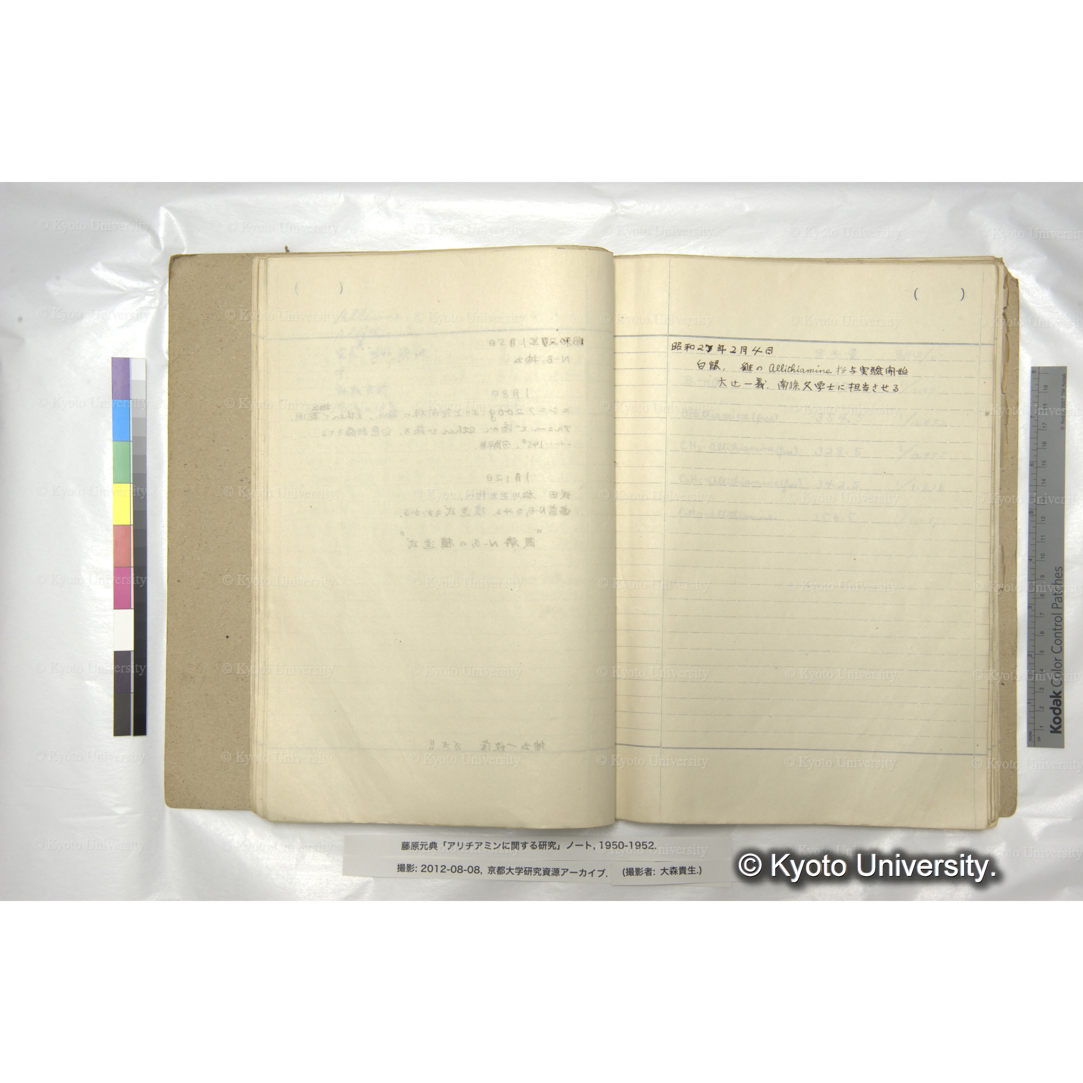 アリチアミンに関する研究 1950〜52 (30)