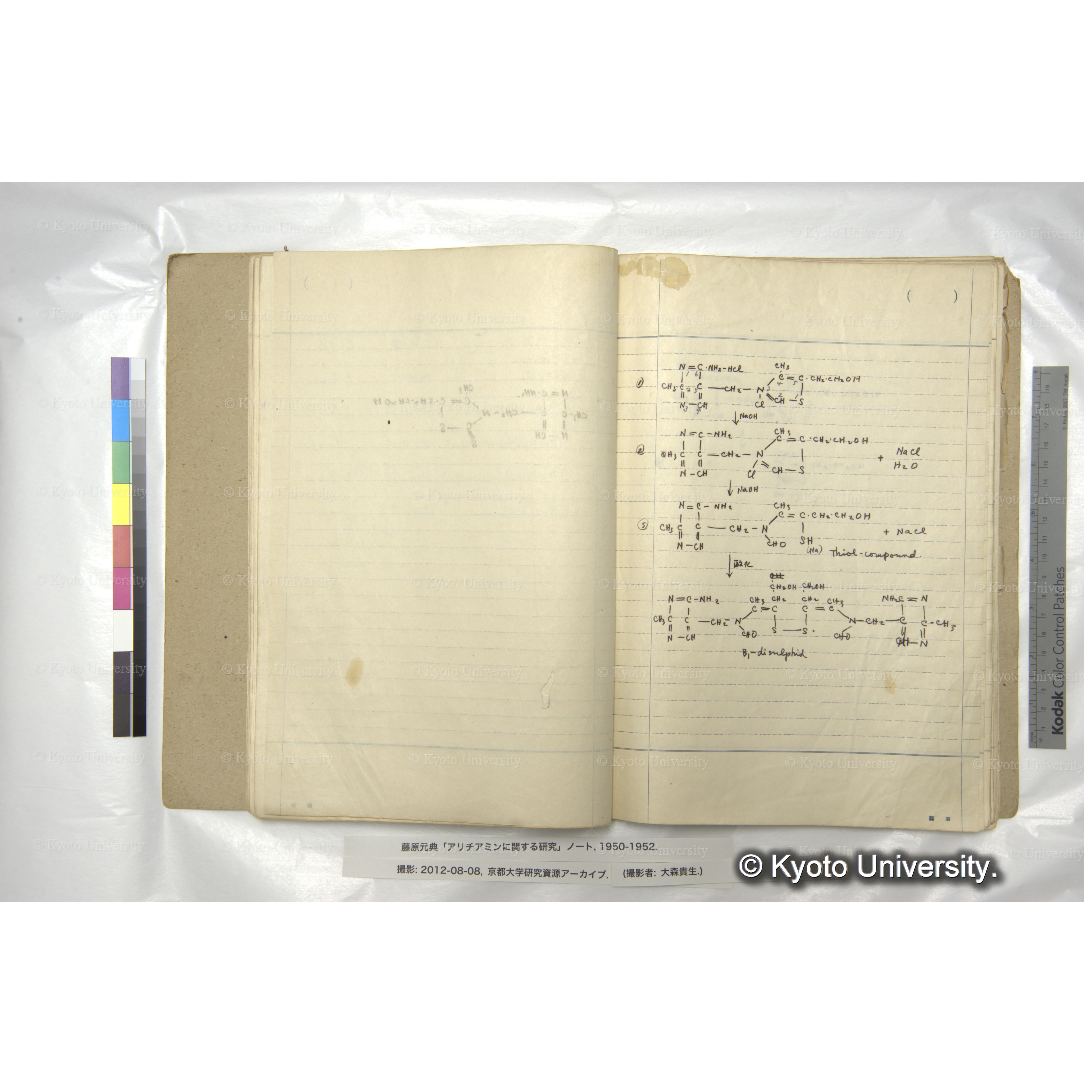 アリチアミンに関する研究 1950〜52 (33)