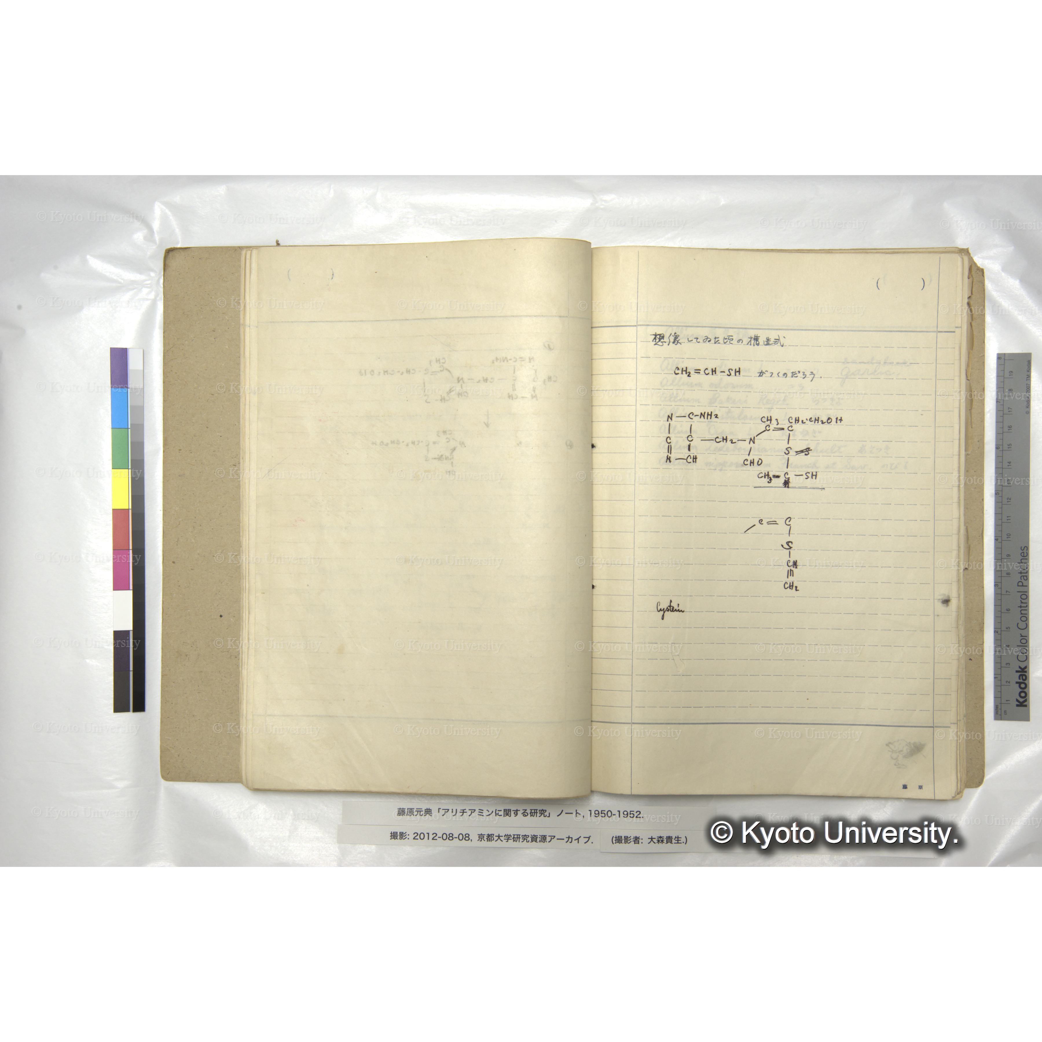 アリチアミンに関する研究 1950〜52 (35)