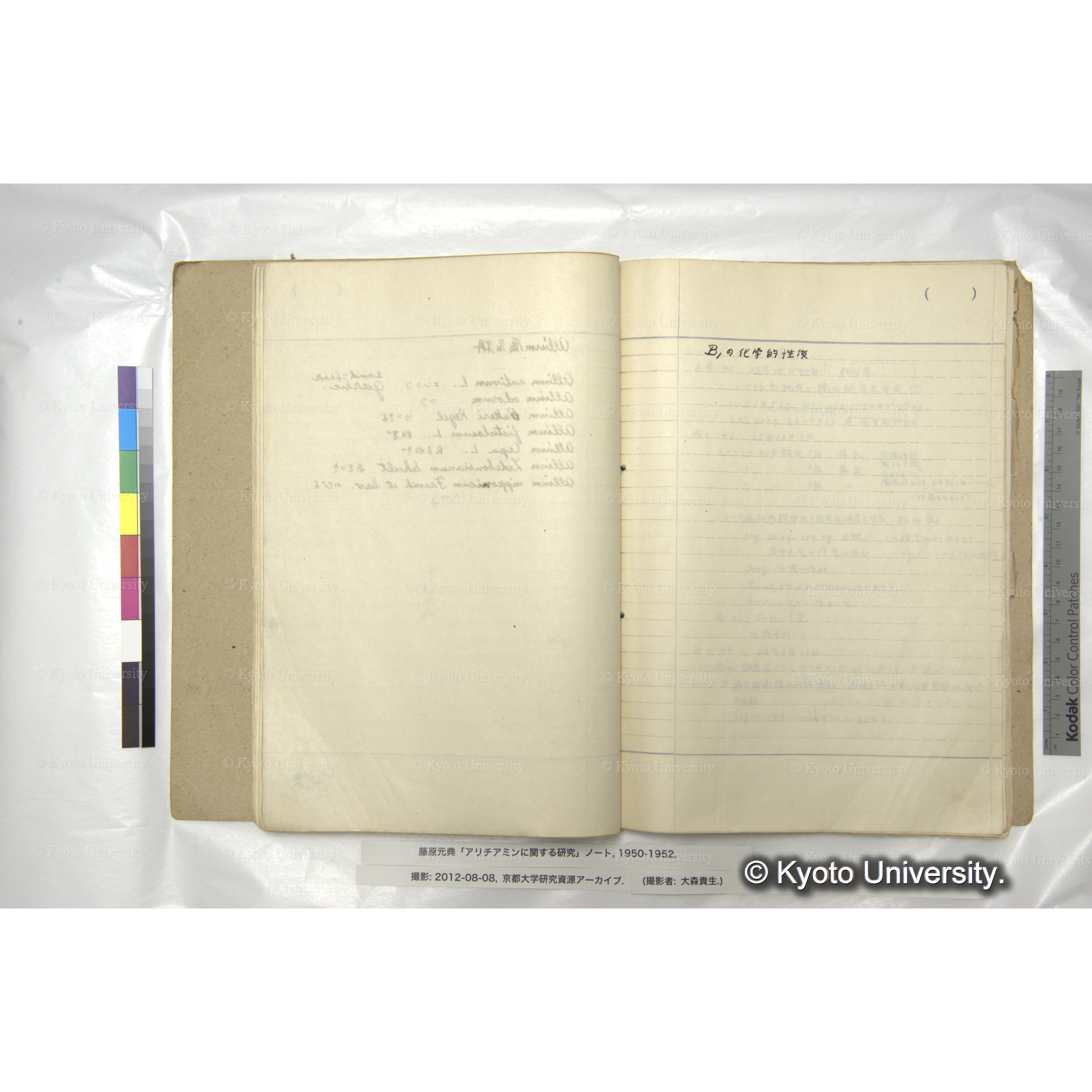 アリチアミンに関する研究 1950〜52 (37)