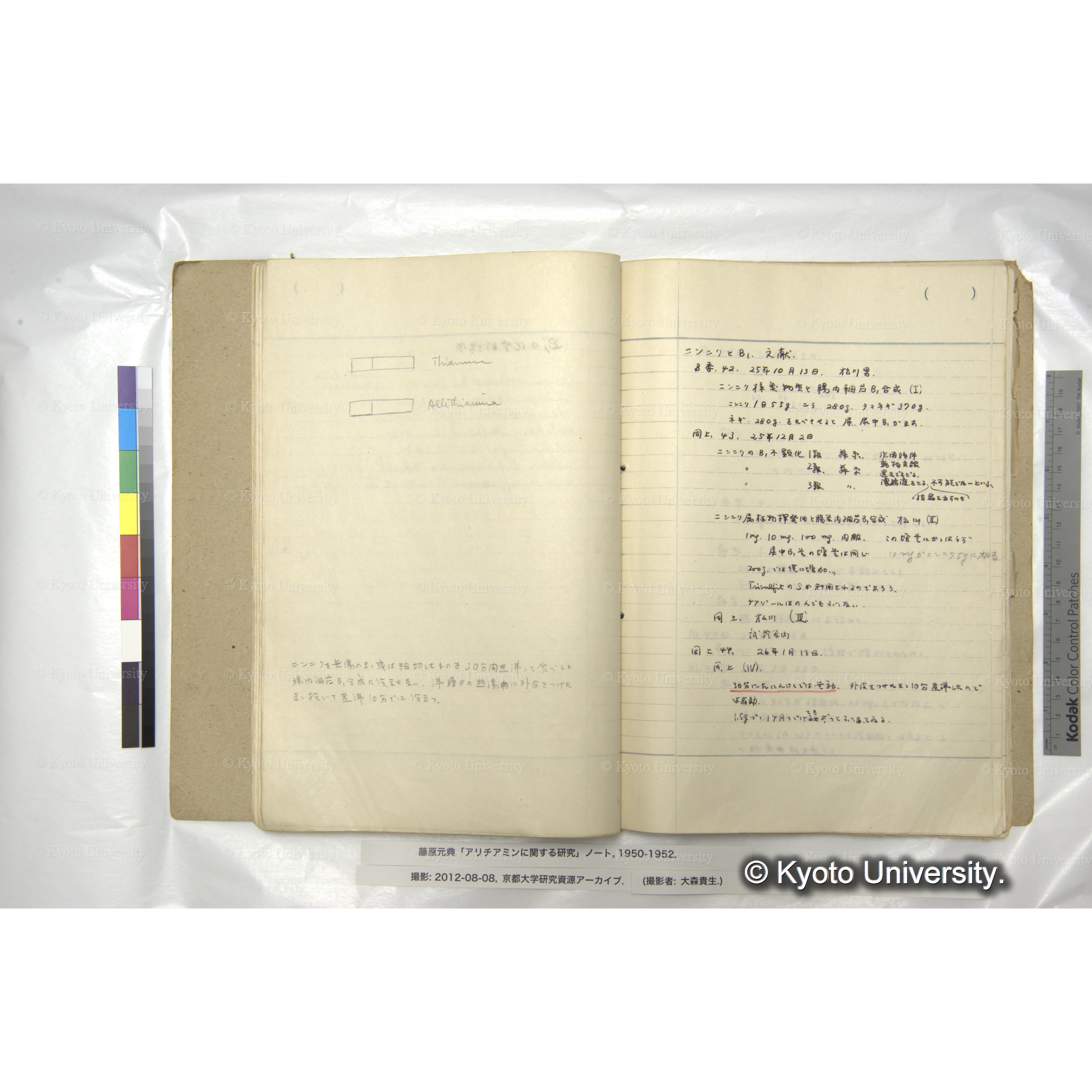 アリチアミンに関する研究 1950〜52 (38)