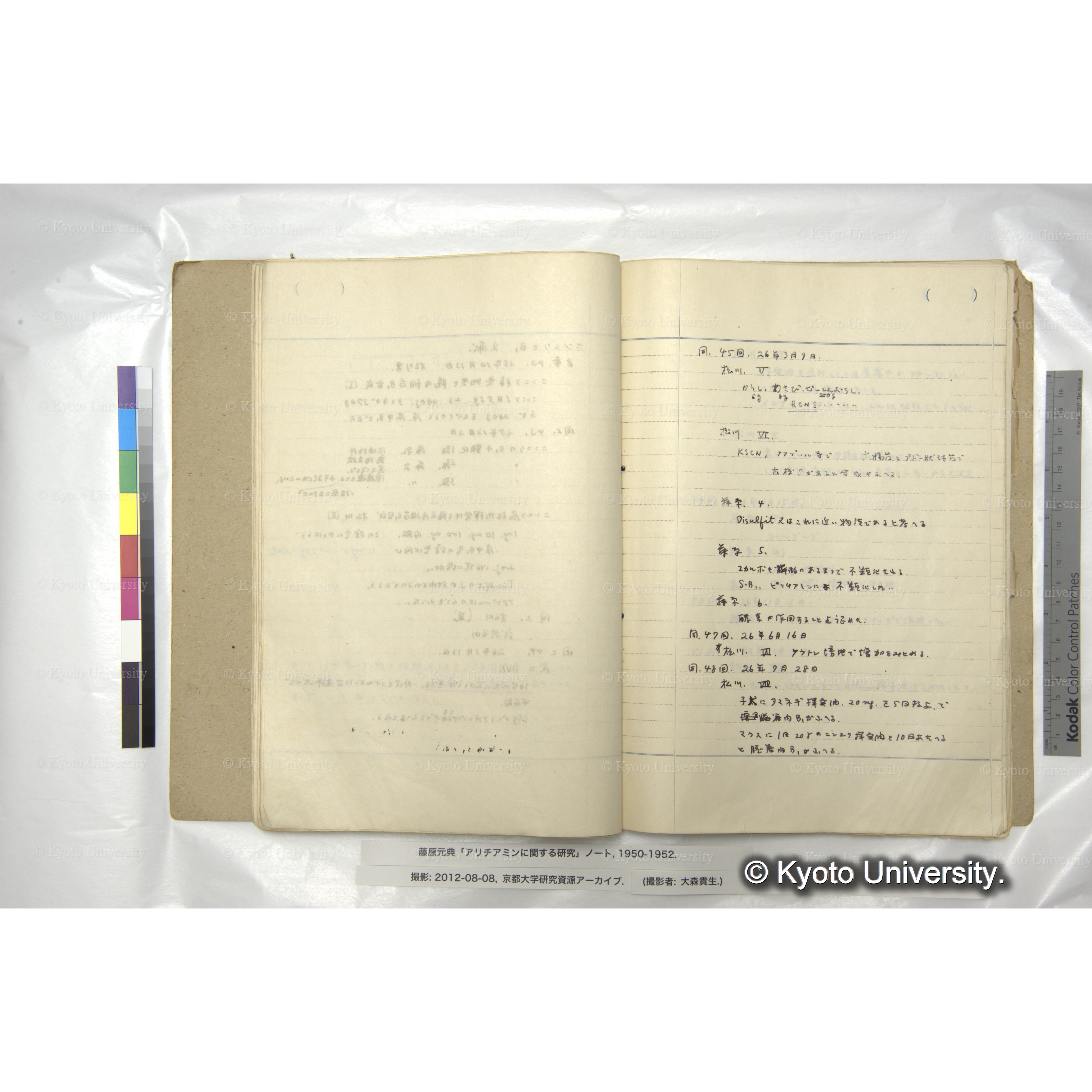 アリチアミンに関する研究 1950〜52 (39)