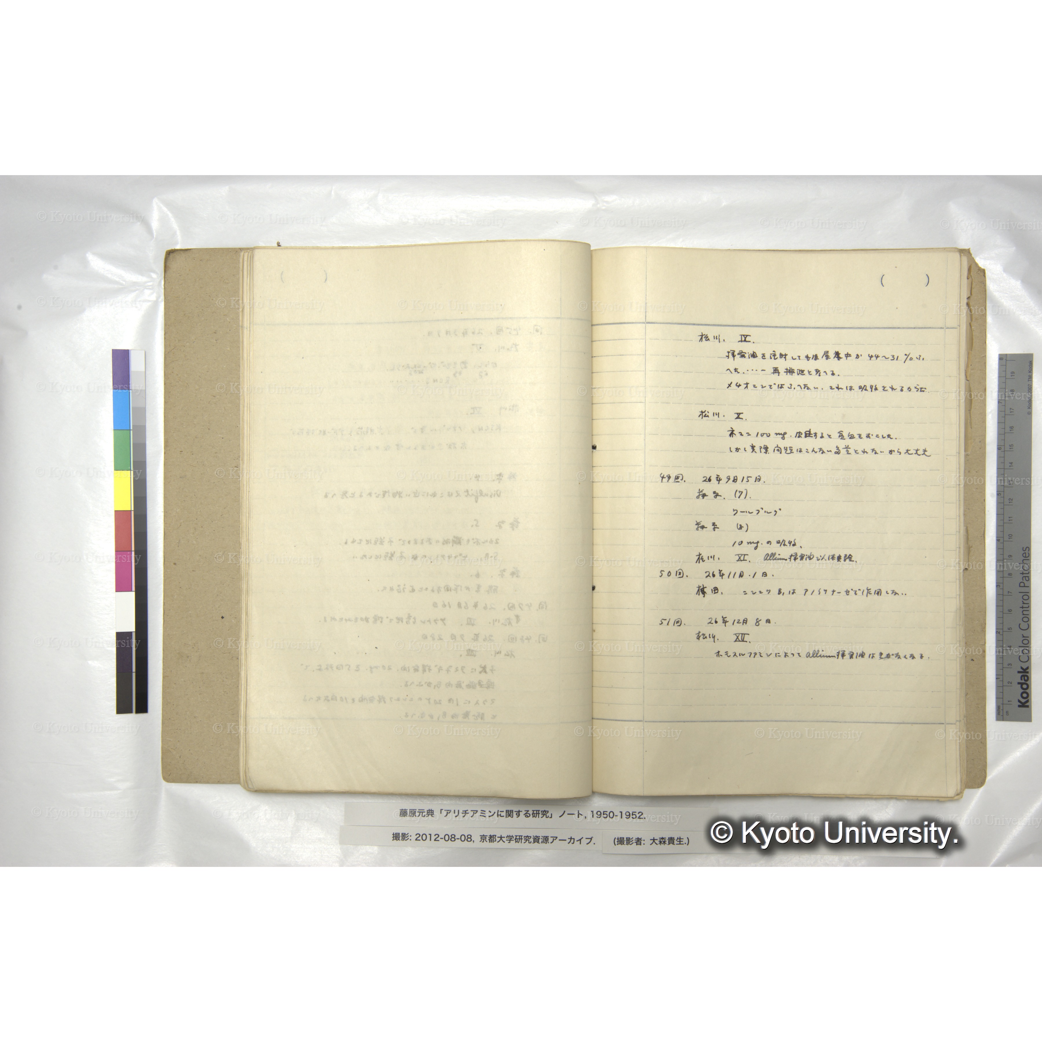 アリチアミンに関する研究 1950〜52 (40)