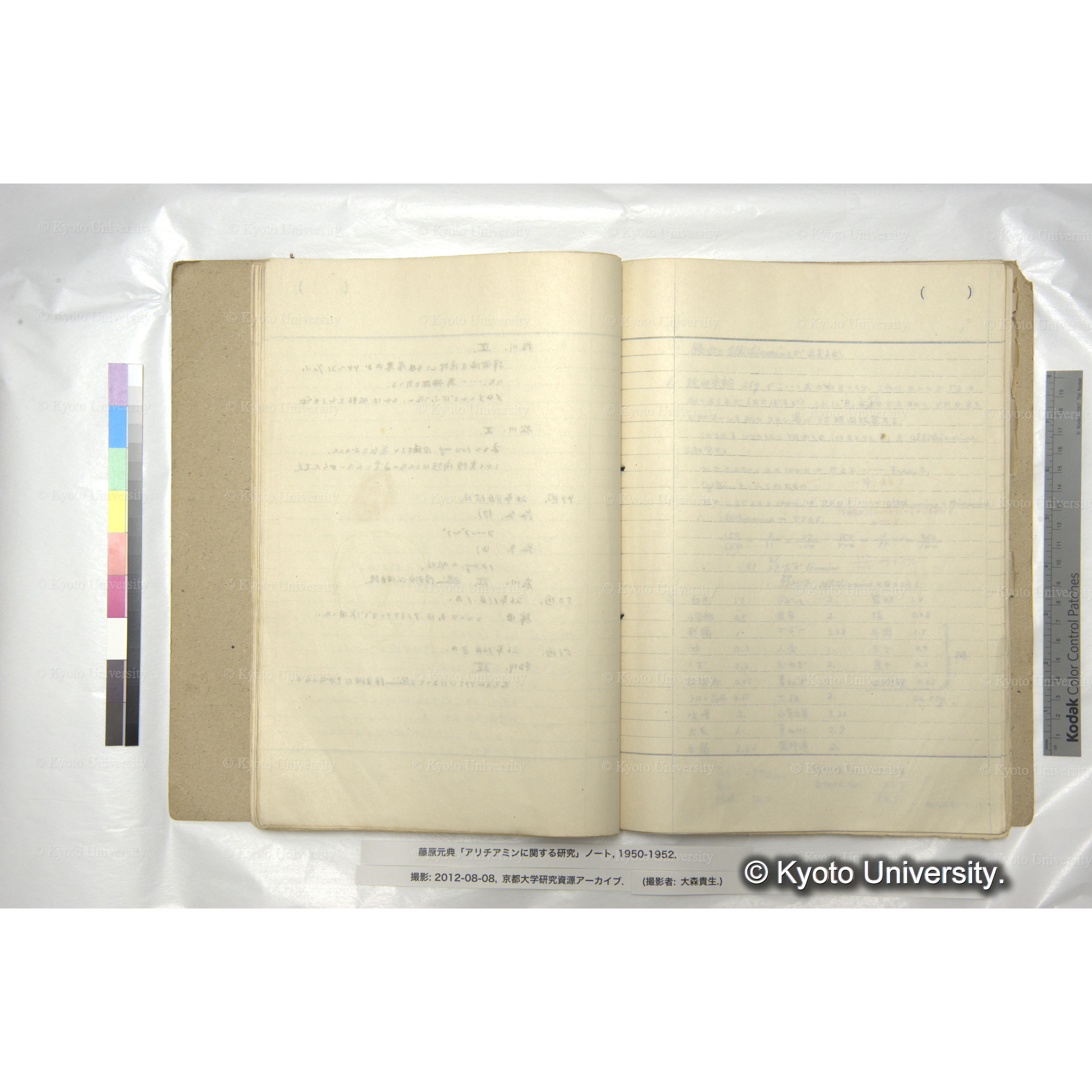 アリチアミンに関する研究 1950〜52 (41)