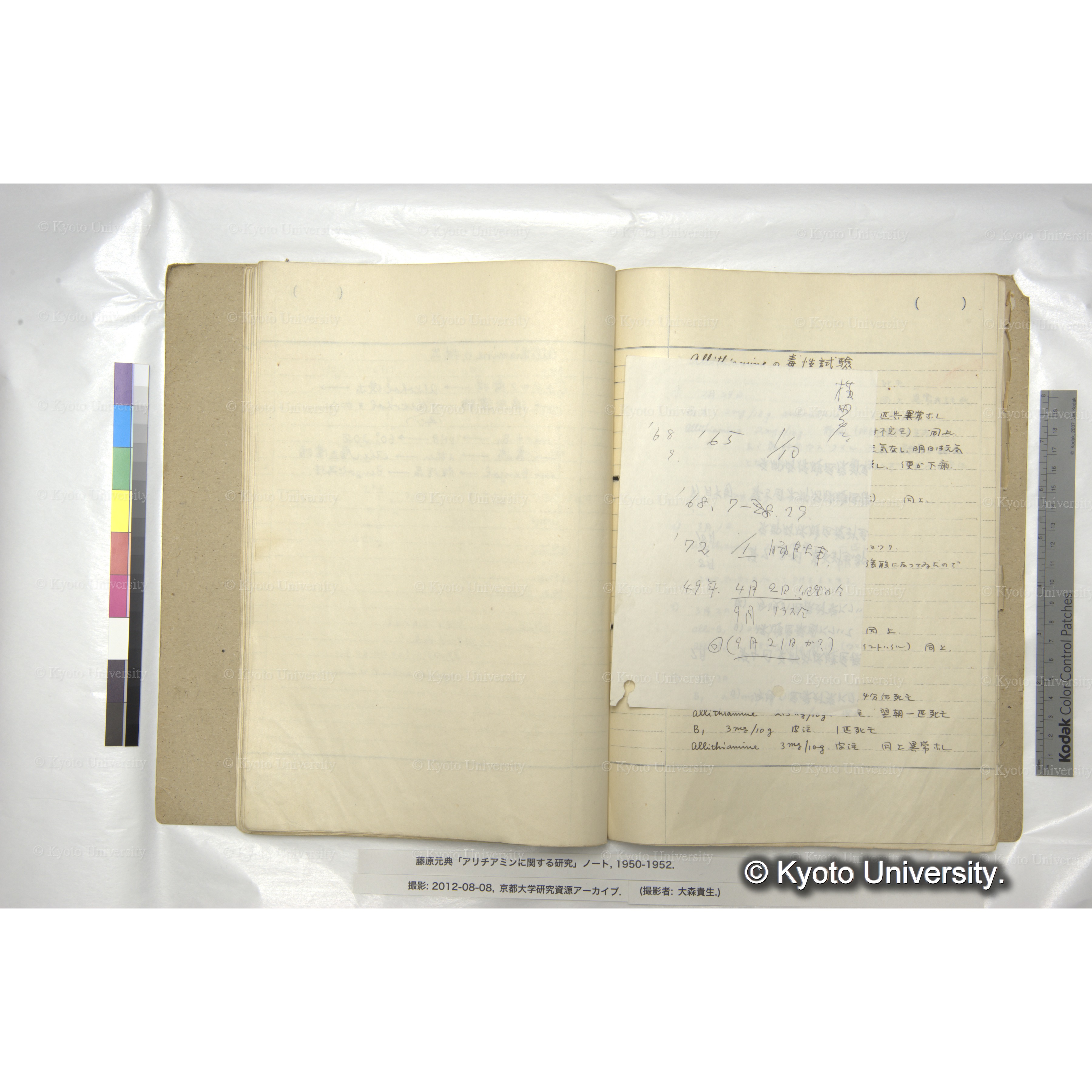 アリチアミンに関する研究 1950〜52 (47)