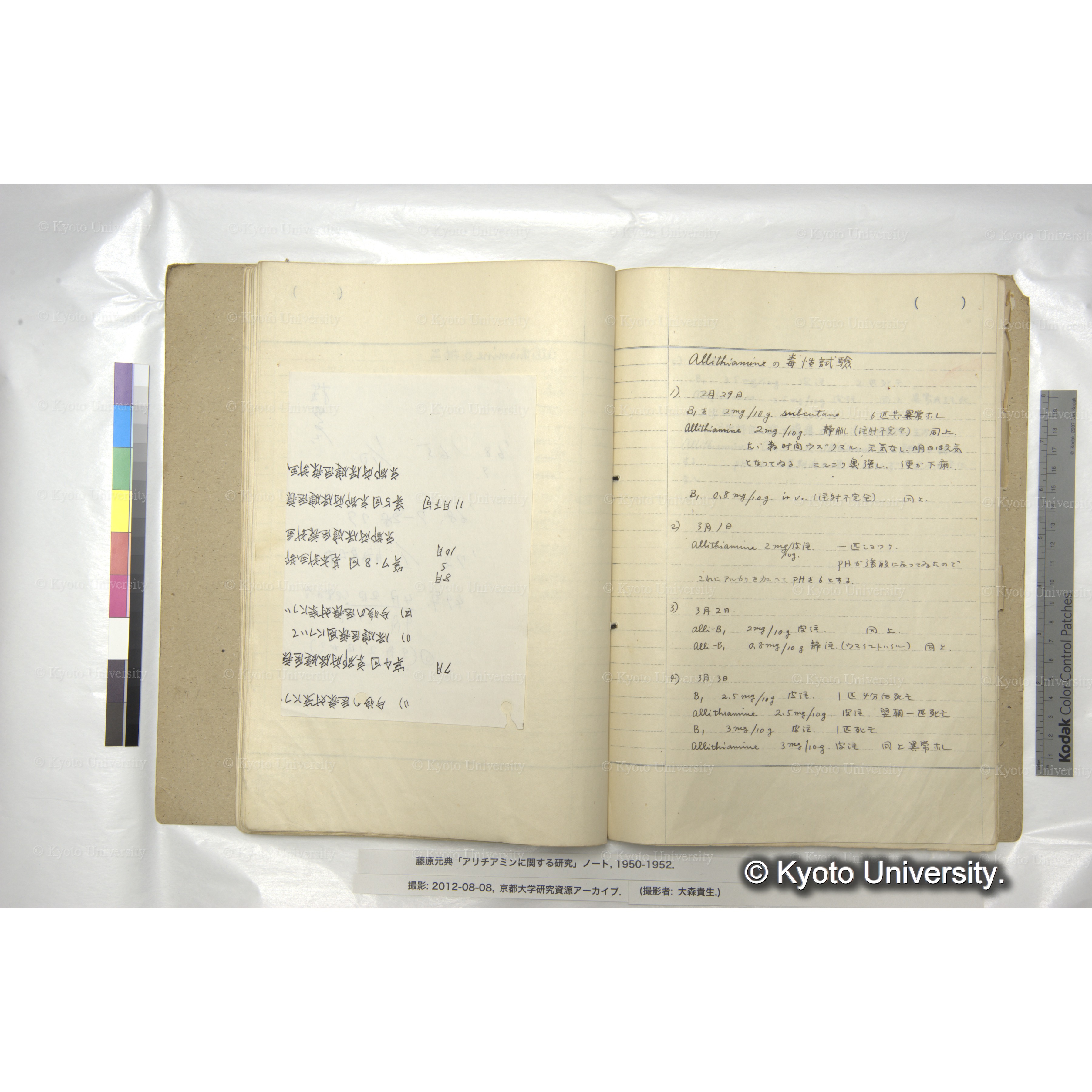 アリチアミンに関する研究 1950〜52 (49)