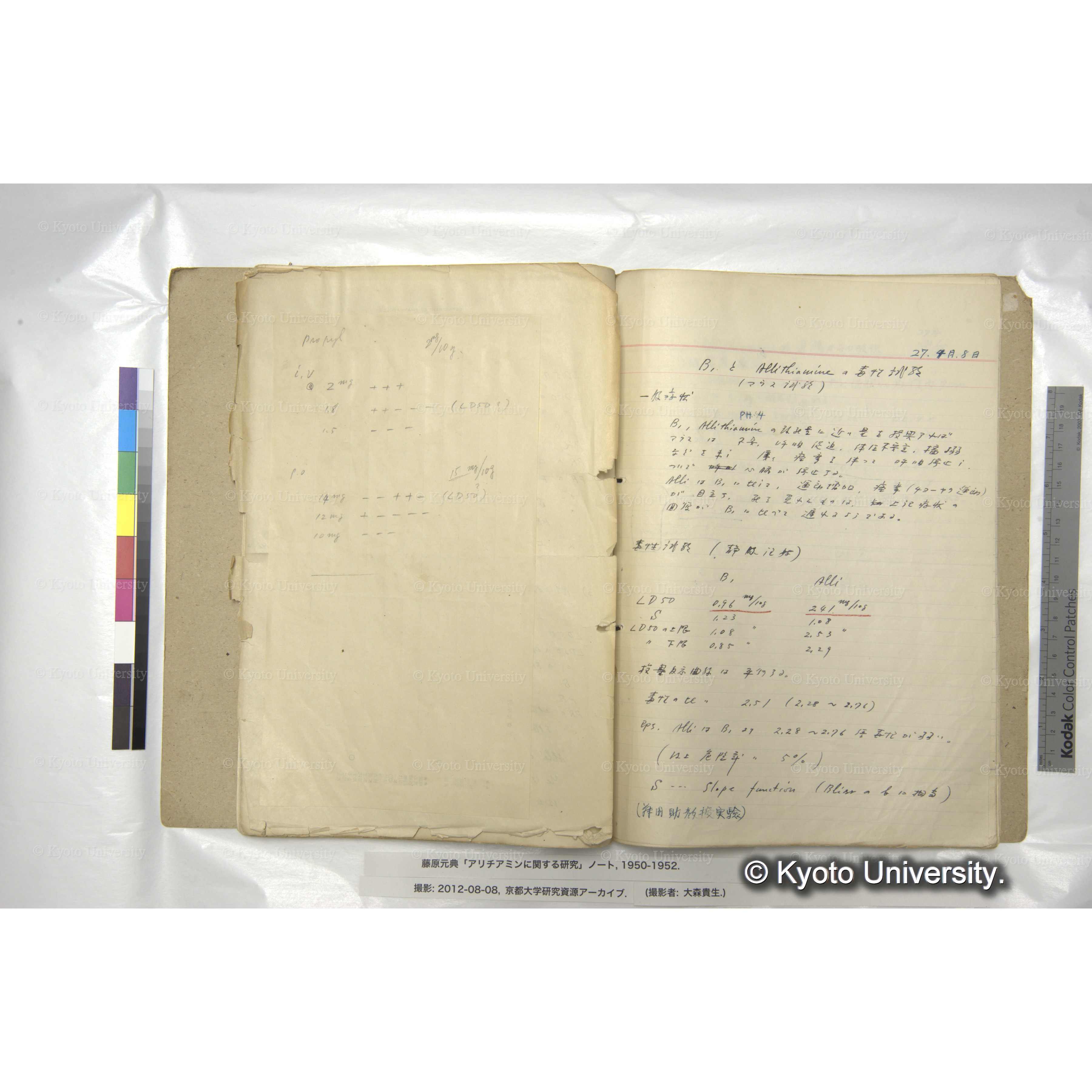 アリチアミンに関する研究 1950〜52 (53)