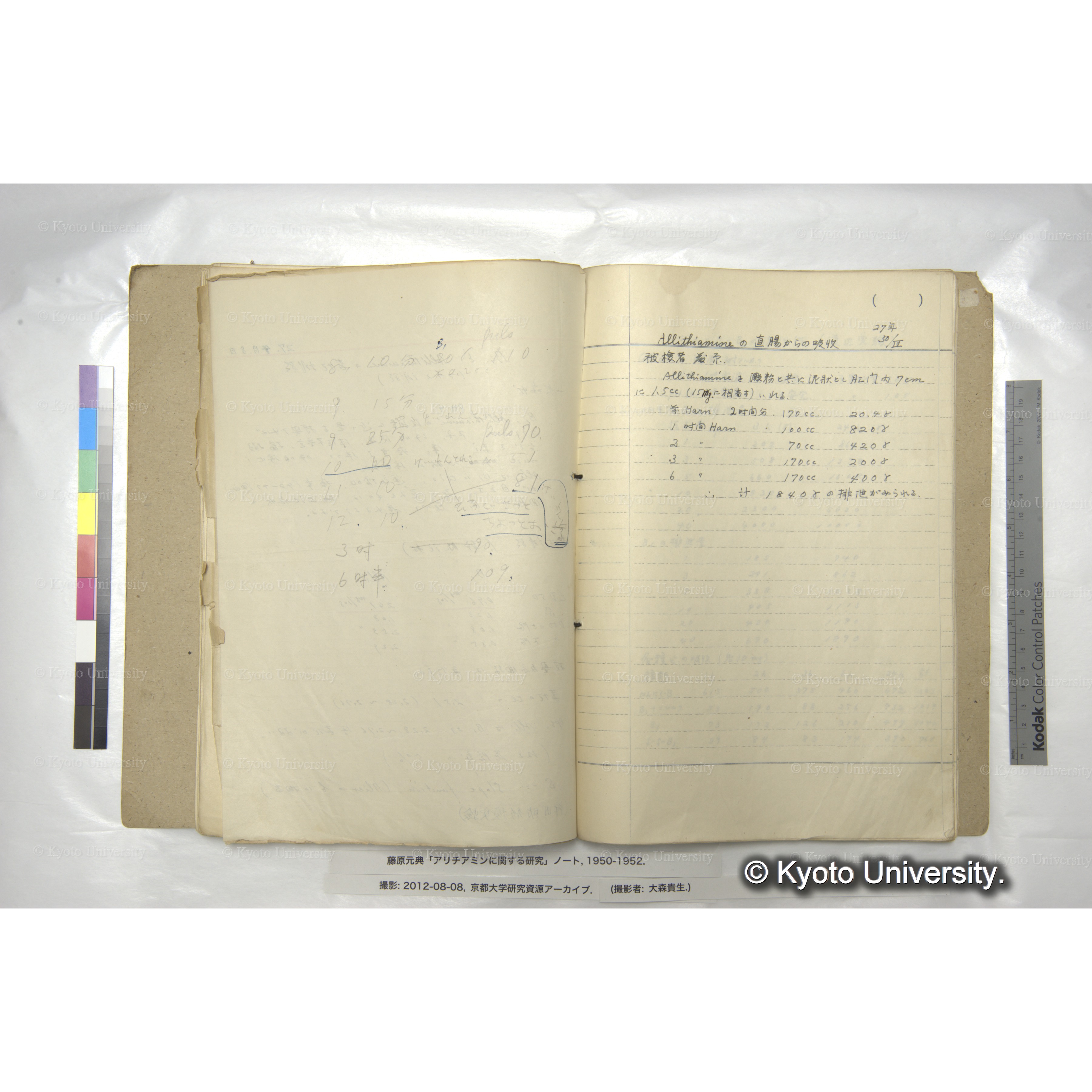 アリチアミンに関する研究 1950〜52 (54)