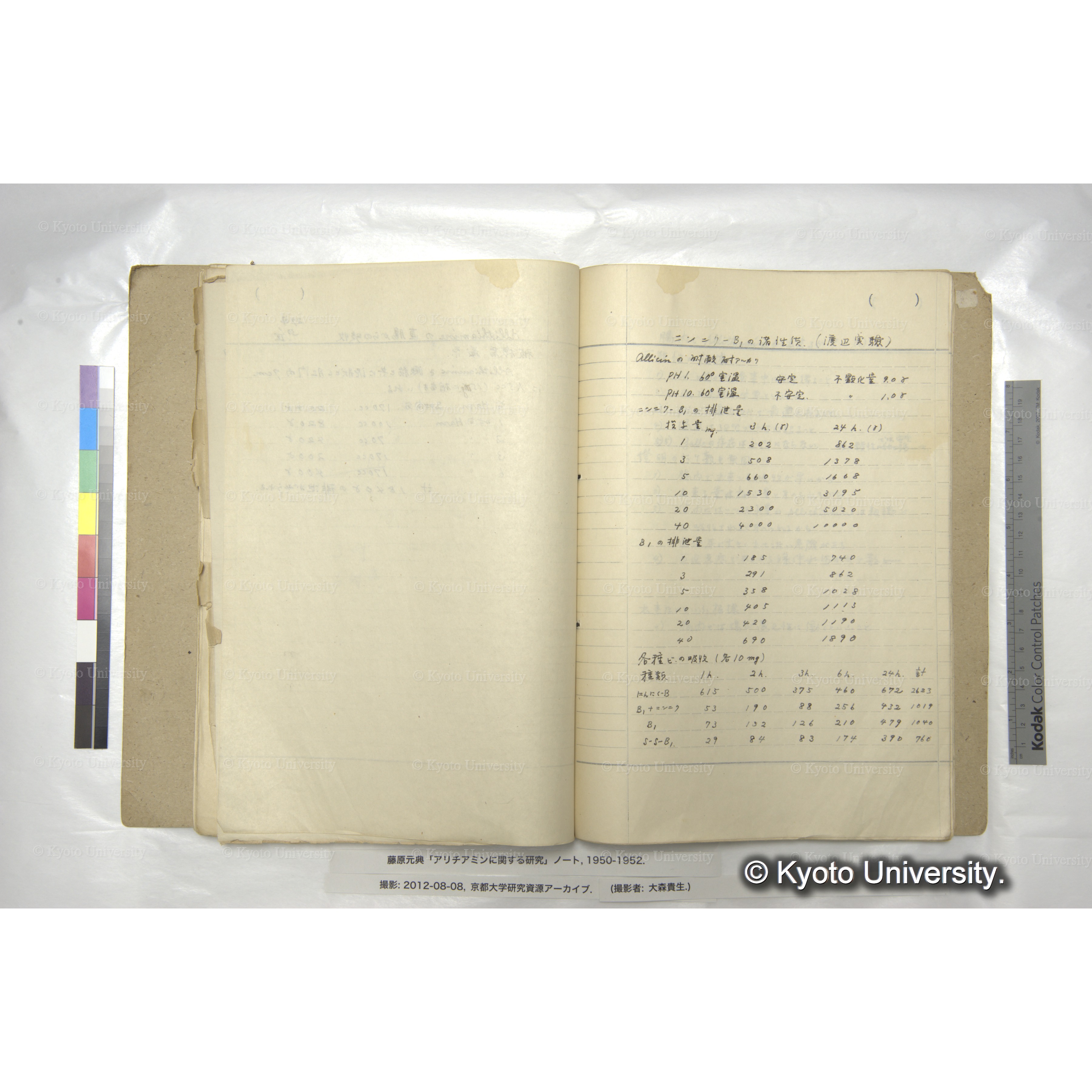 アリチアミンに関する研究 1950〜52 (55)