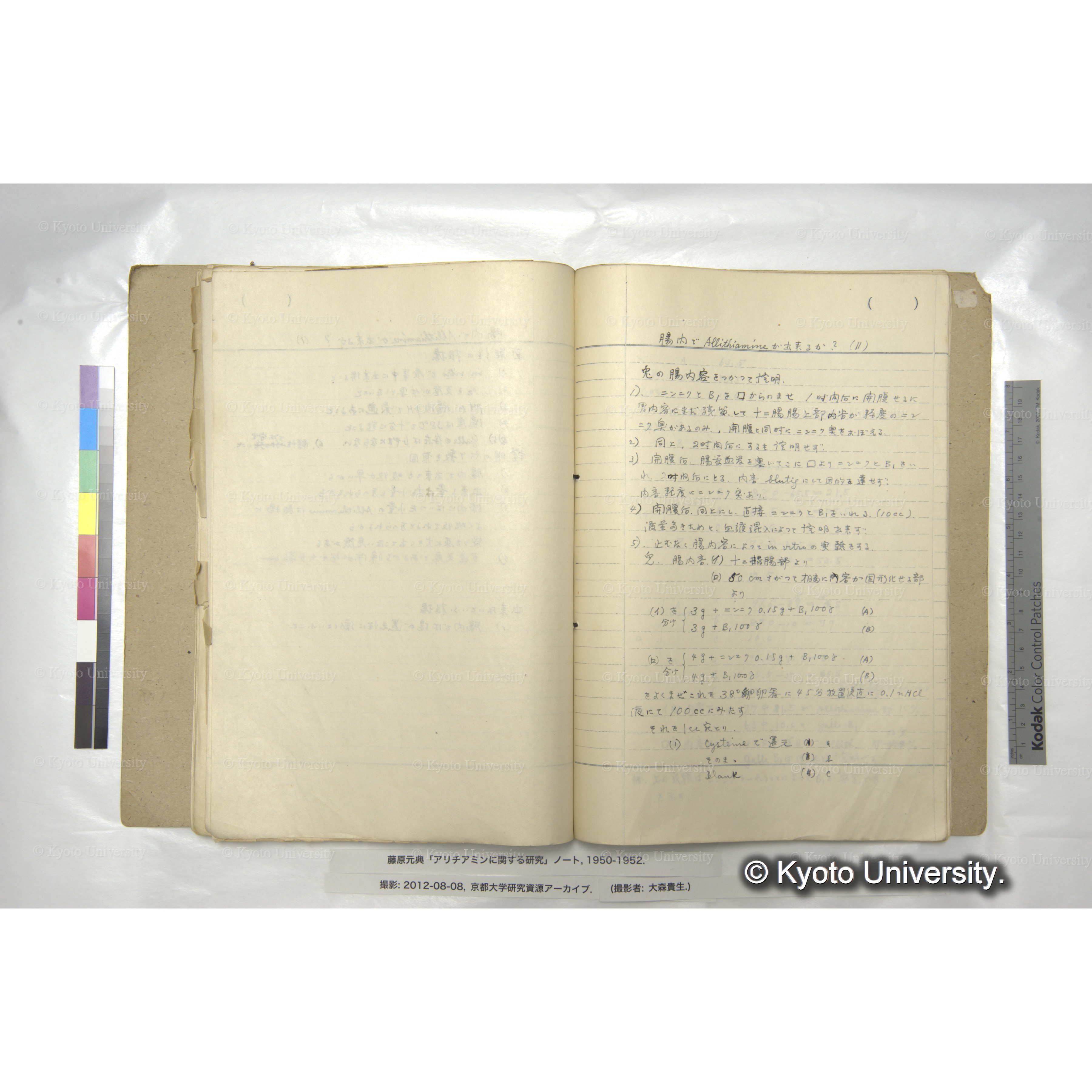 アリチアミンに関する研究 1950〜52 (57)