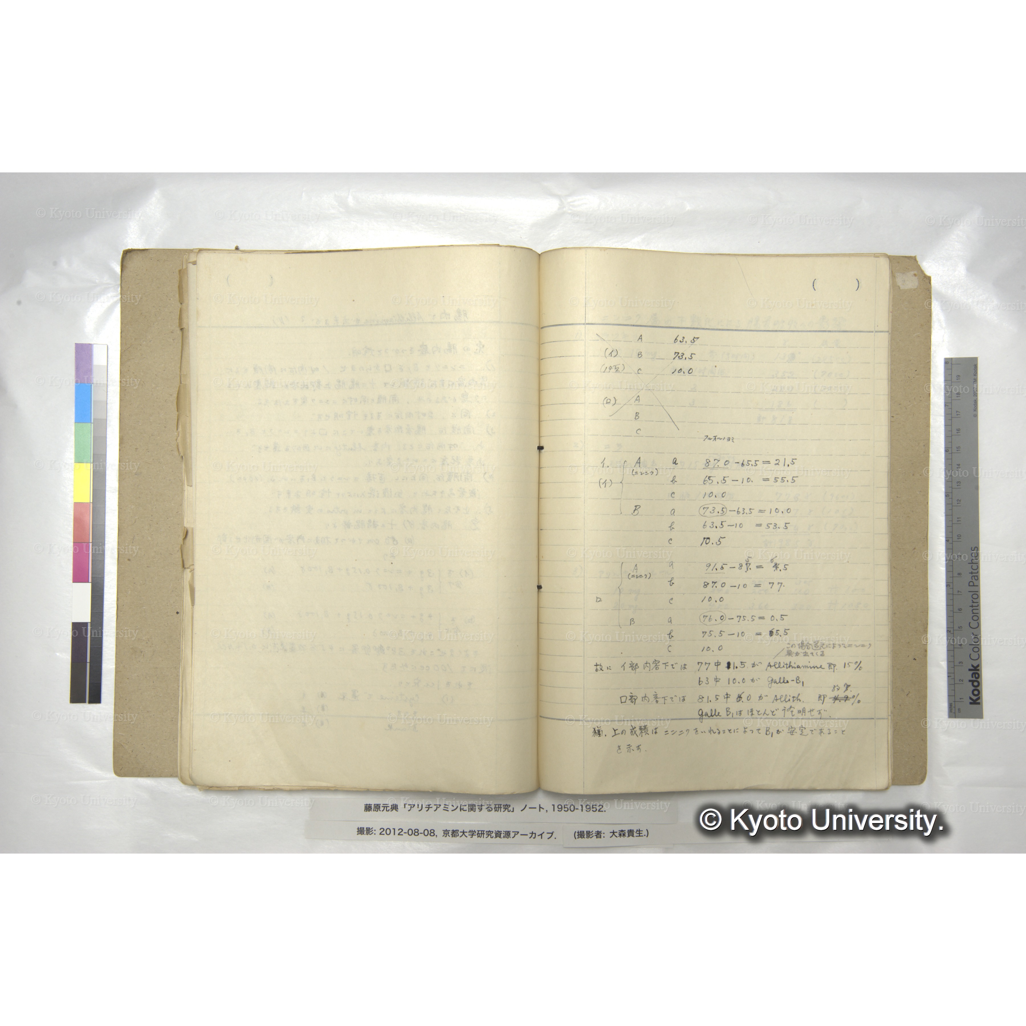 アリチアミンに関する研究 1950〜52 (58)