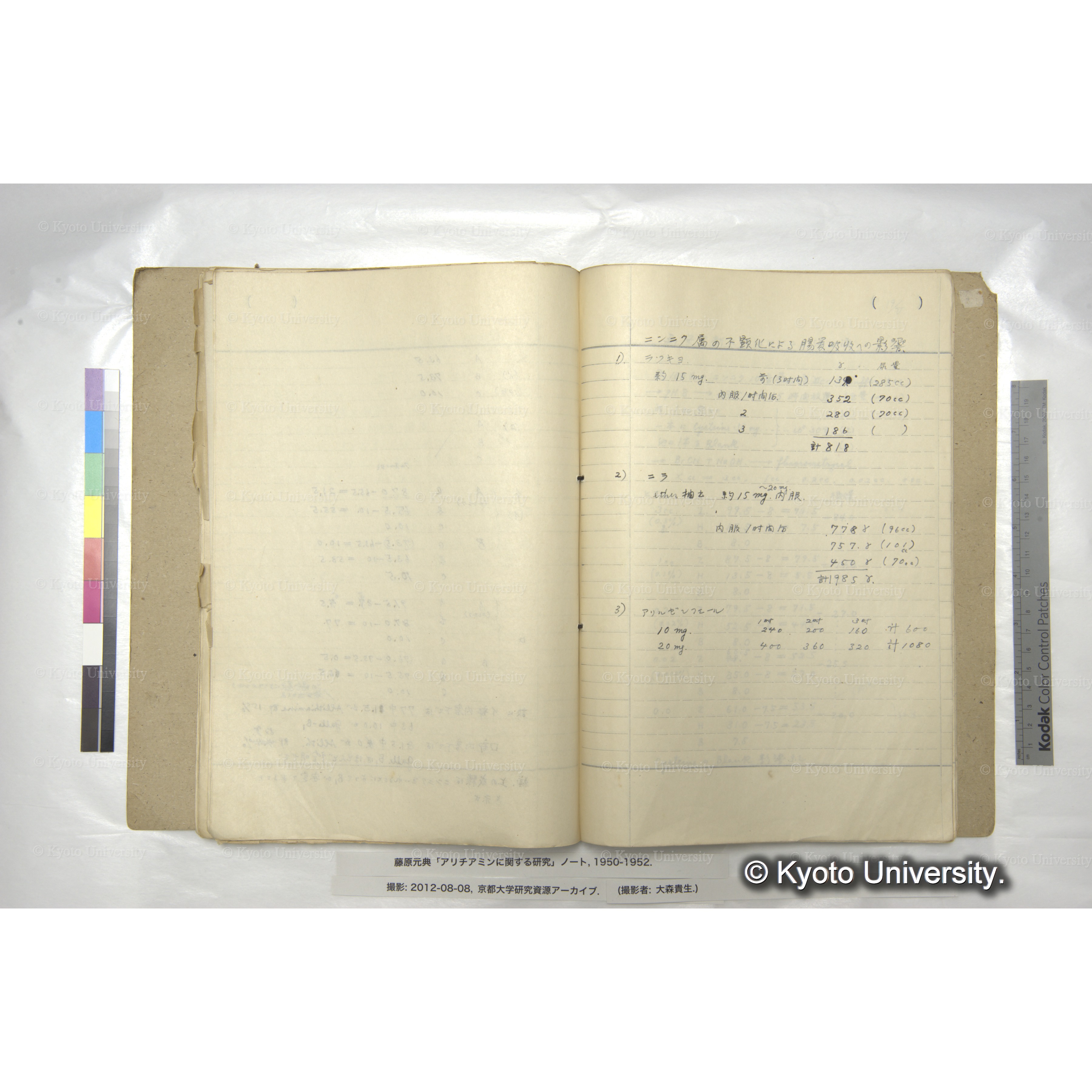 アリチアミンに関する研究 1950〜52 (59)