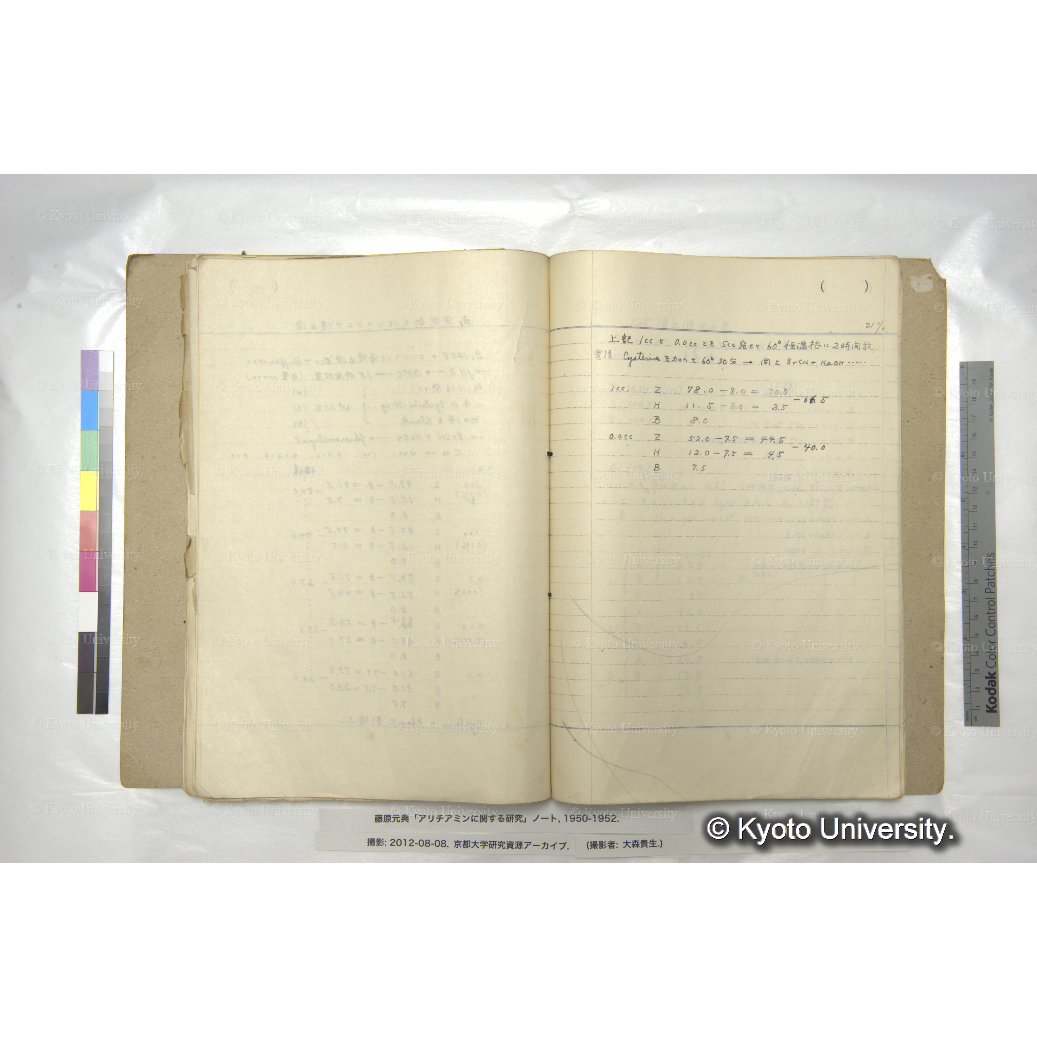 アリチアミンに関する研究 1950〜52 (61)