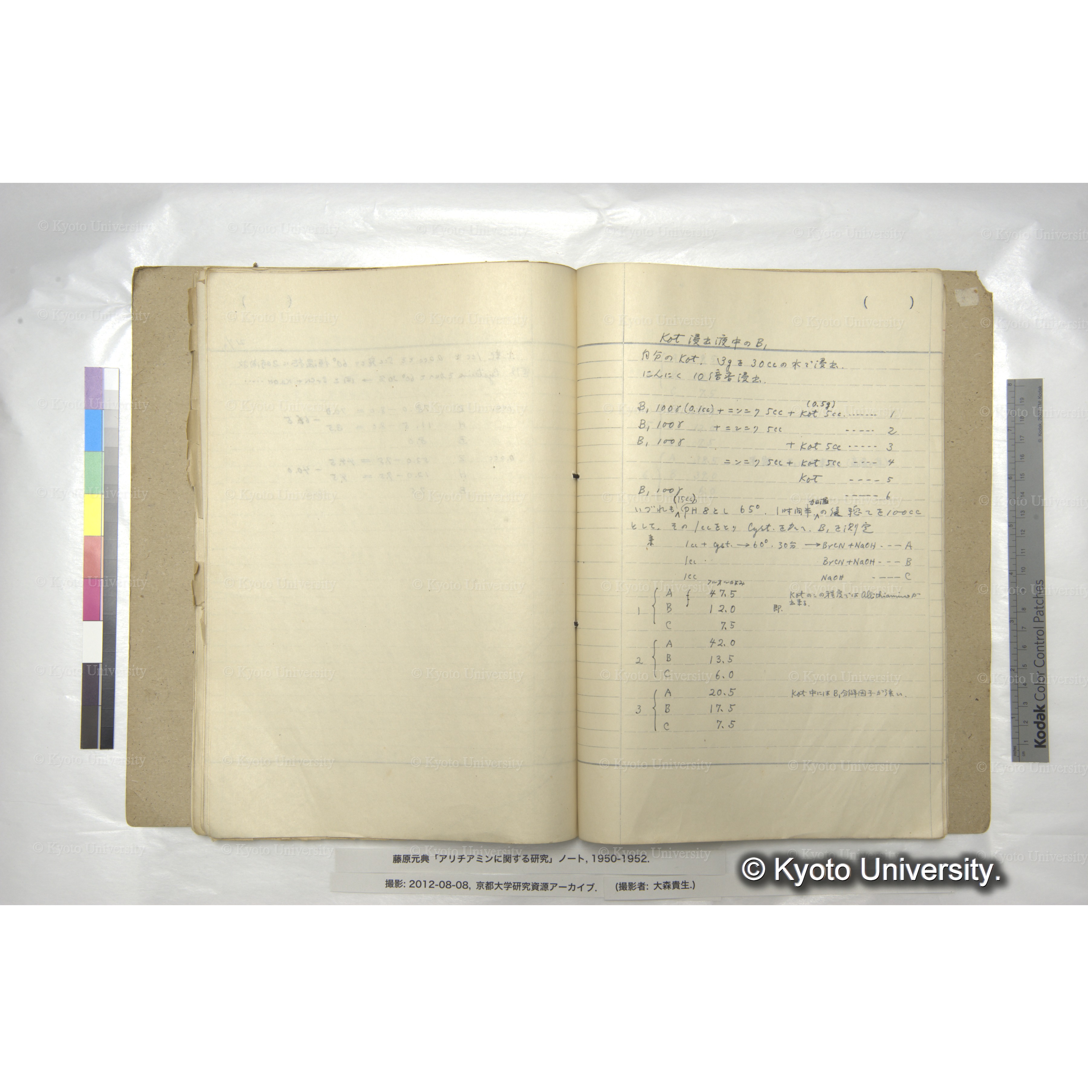 アリチアミンに関する研究 1950〜52 (62)