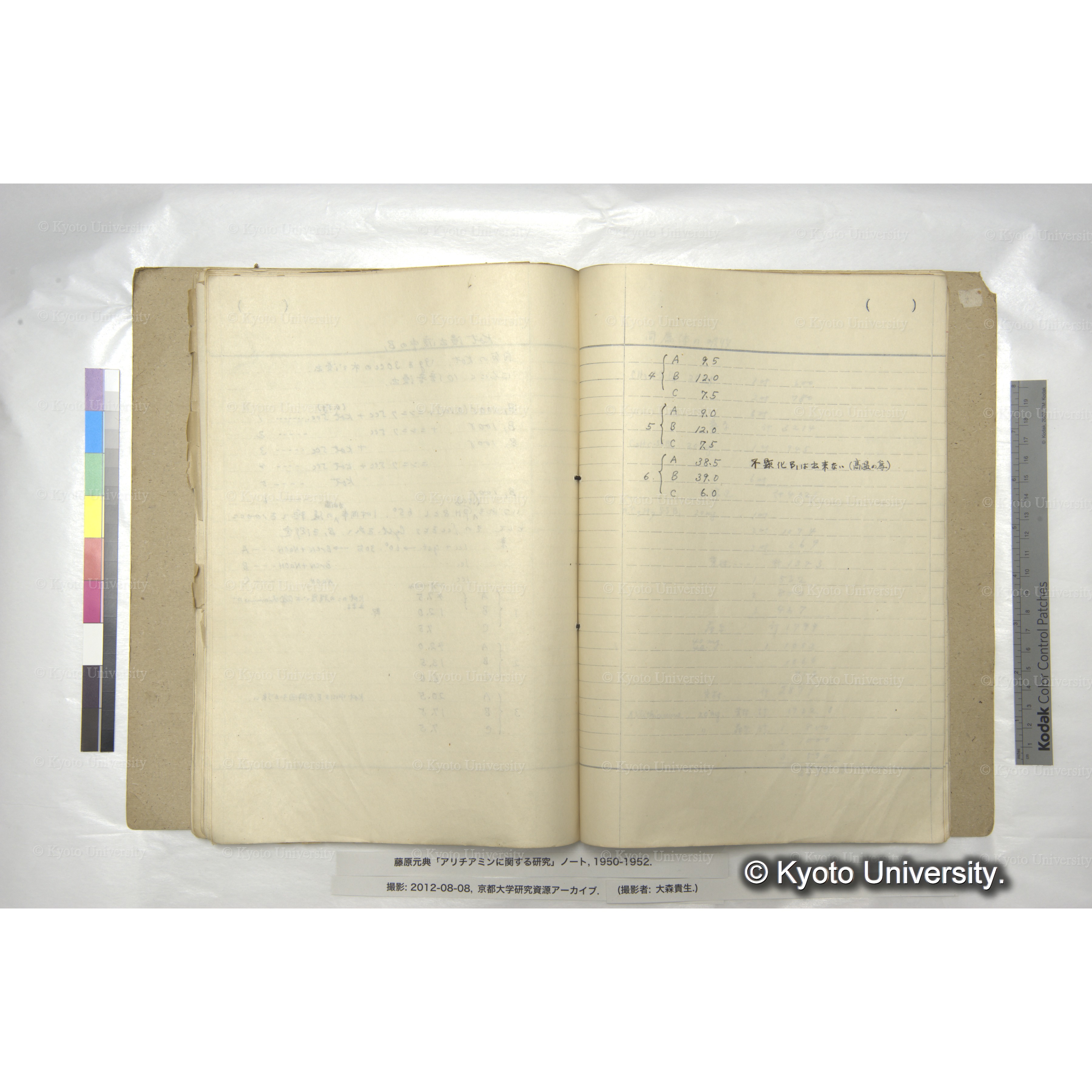 アリチアミンに関する研究 1950〜52 (63)