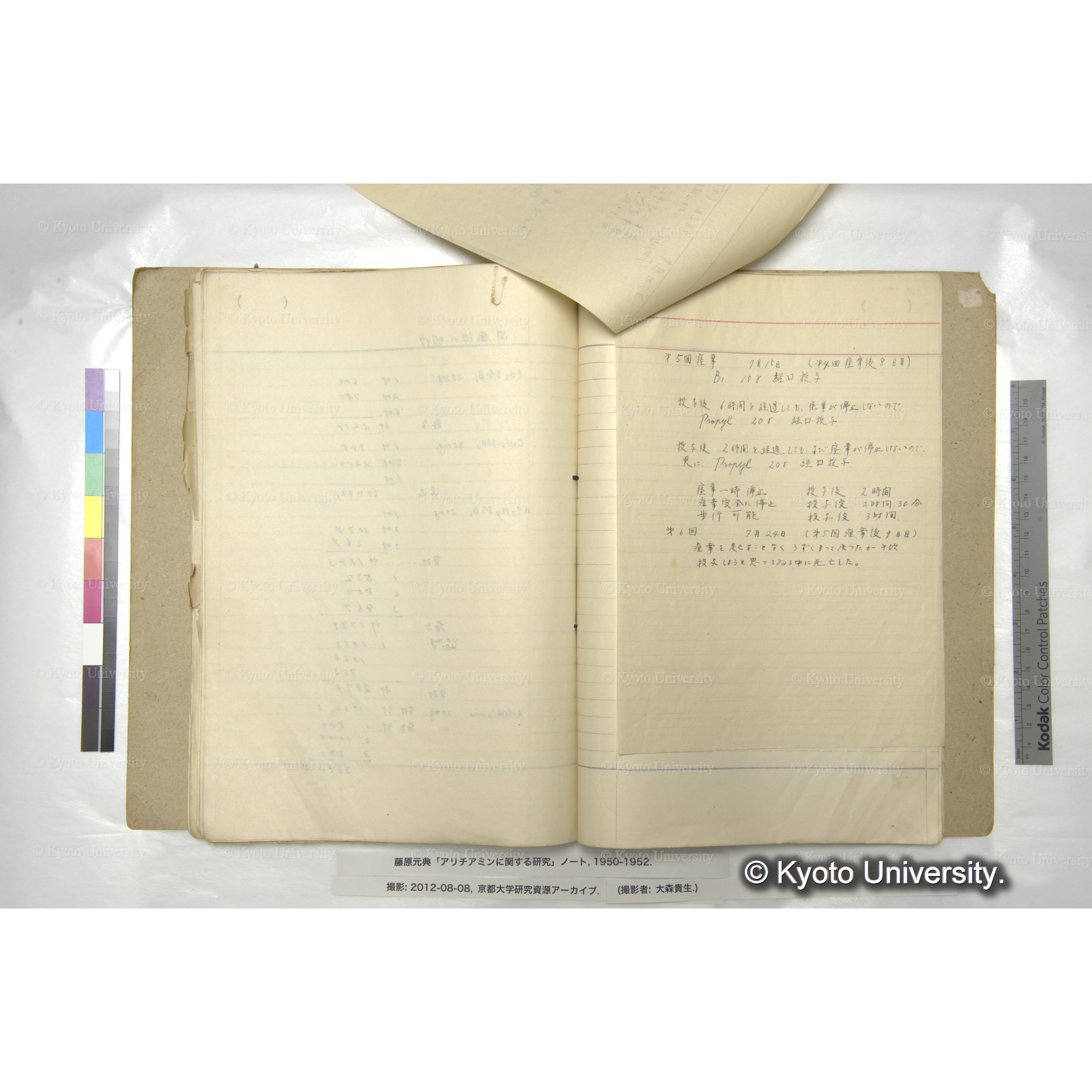 アリチアミンに関する研究 1950〜52 (67)