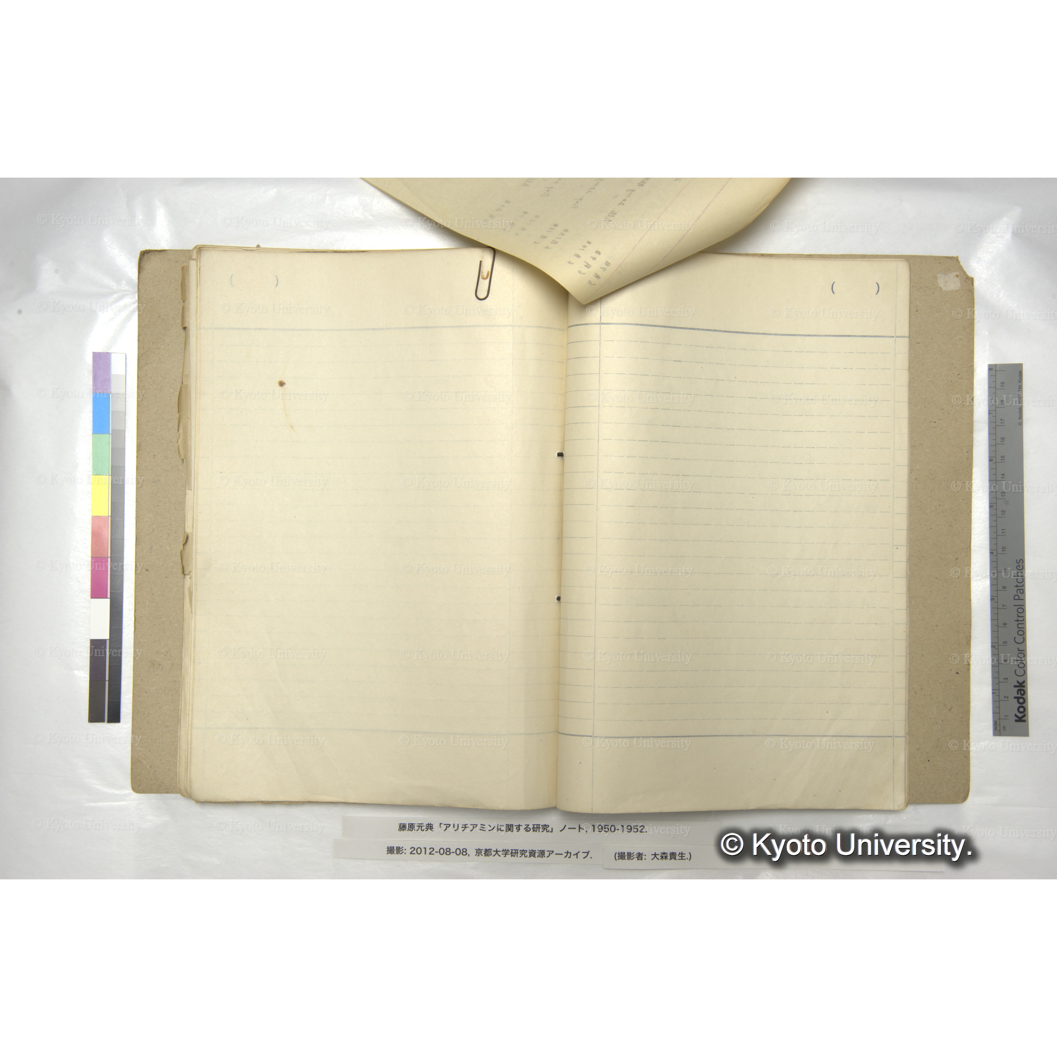 アリチアミンに関する研究 1950〜52 (72)