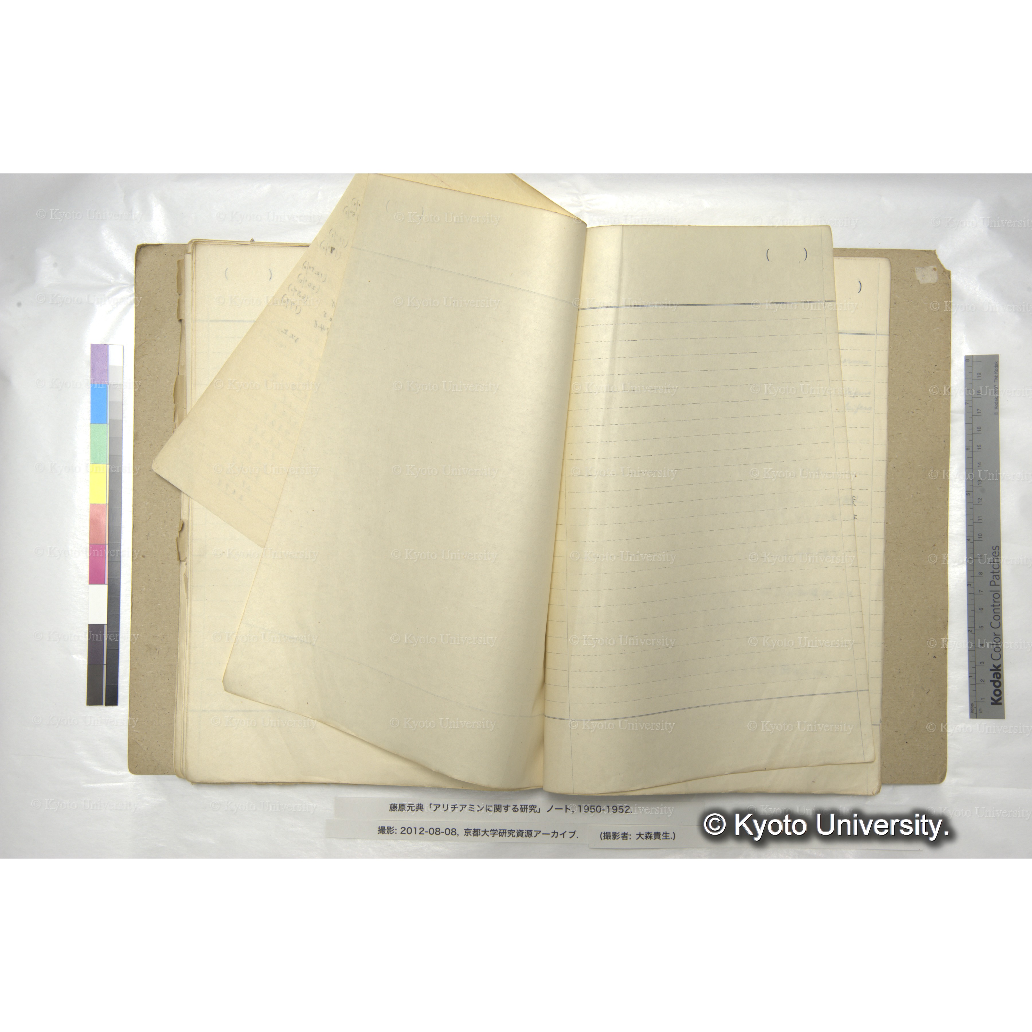 アリチアミンに関する研究 1950〜52 (73)