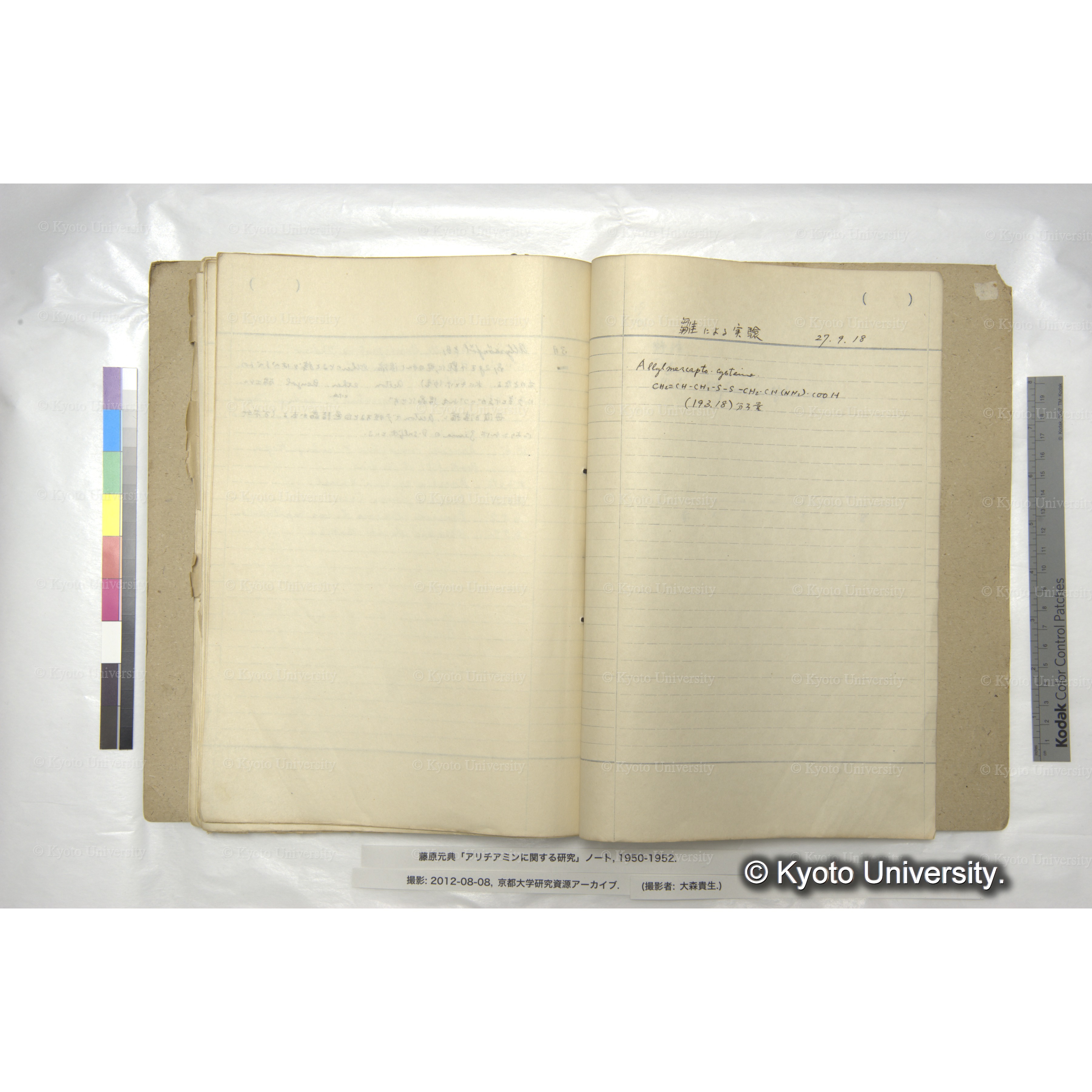 アリチアミンに関する研究 1950〜52 (77)